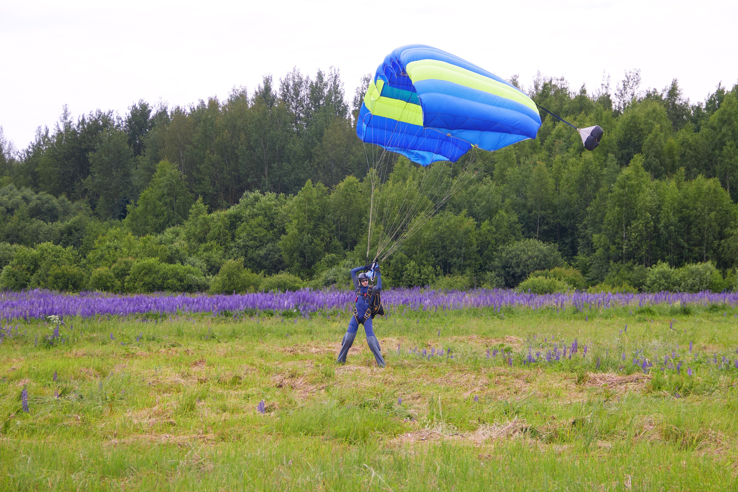 Аэроклуб SkyLine. Фотограф в Смоленске Ася Польшина