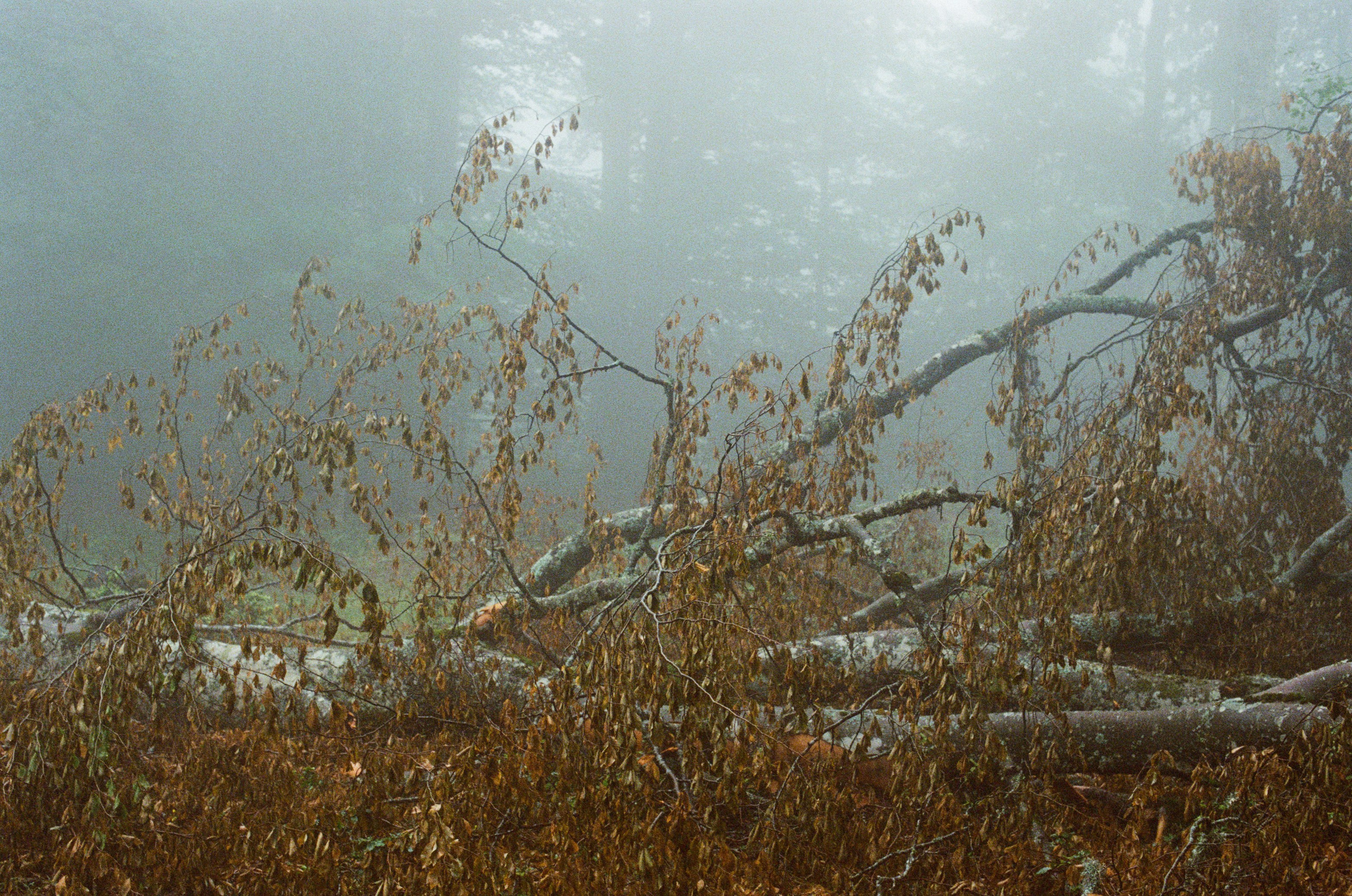 Dig it // ukraine, crimea II. EVER EXPOSED