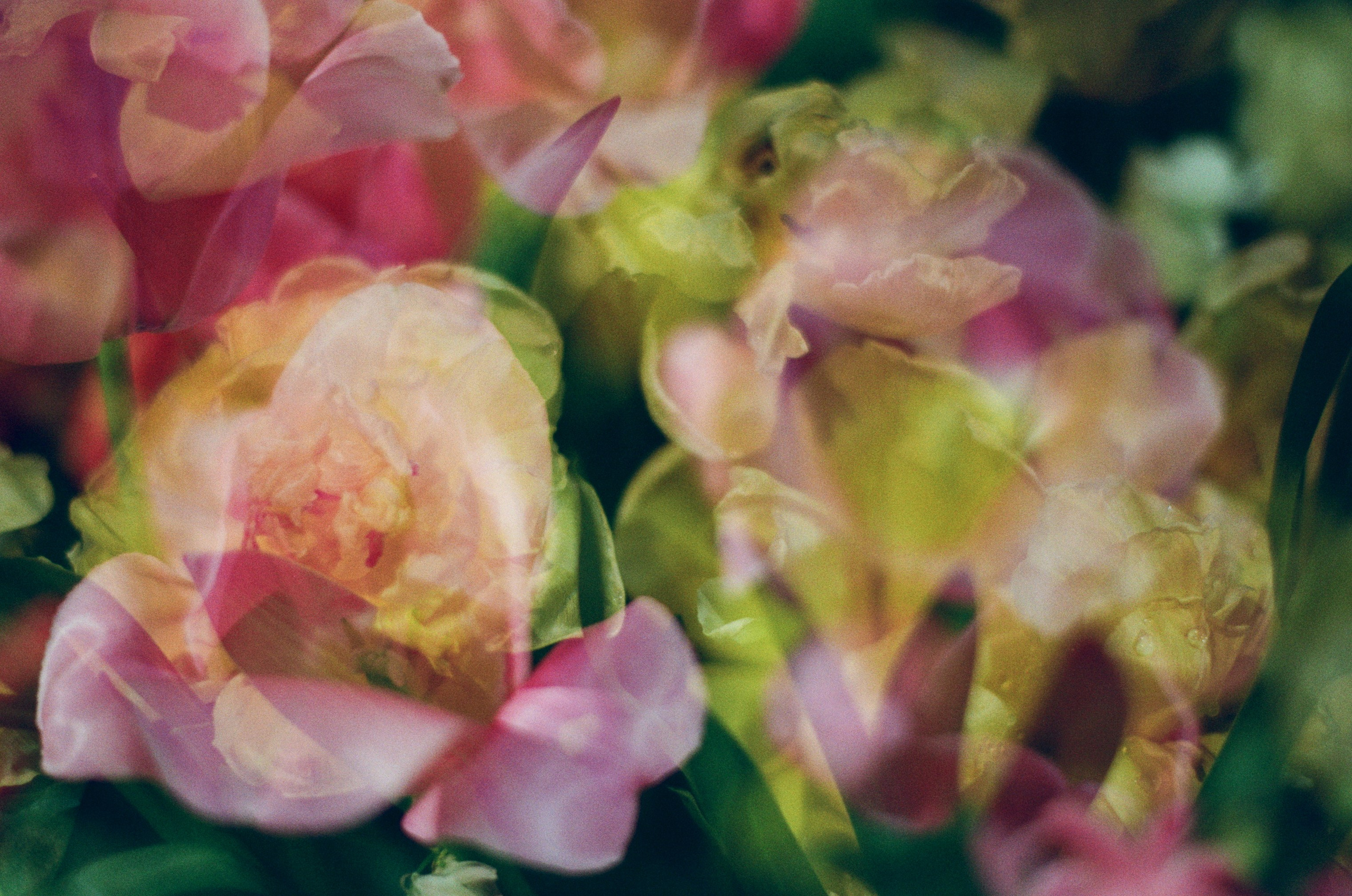 If i get high V. EVER EXPOSED