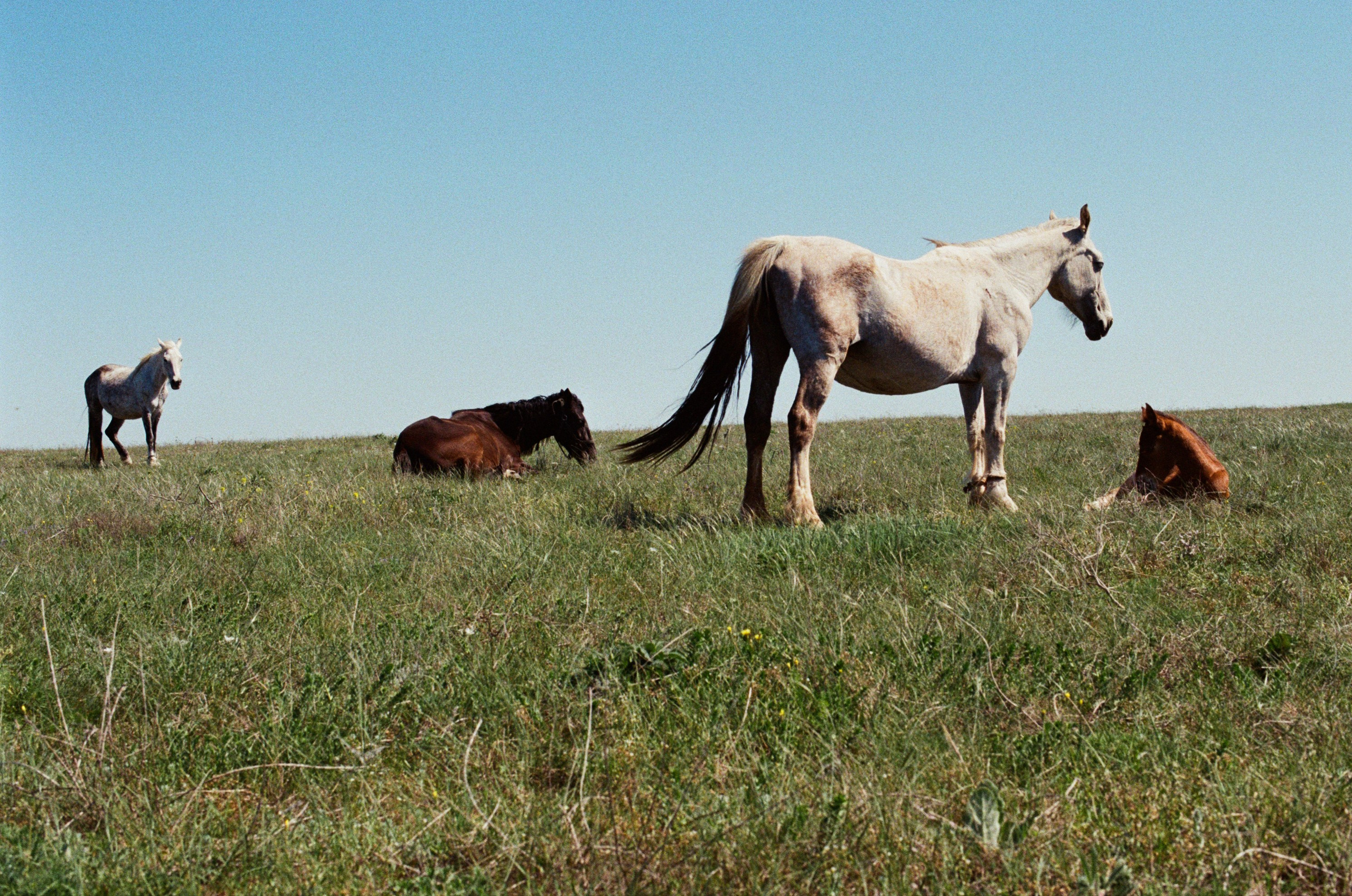 Some kind of madness // ukraine, crimea V. EVER EXPOSED