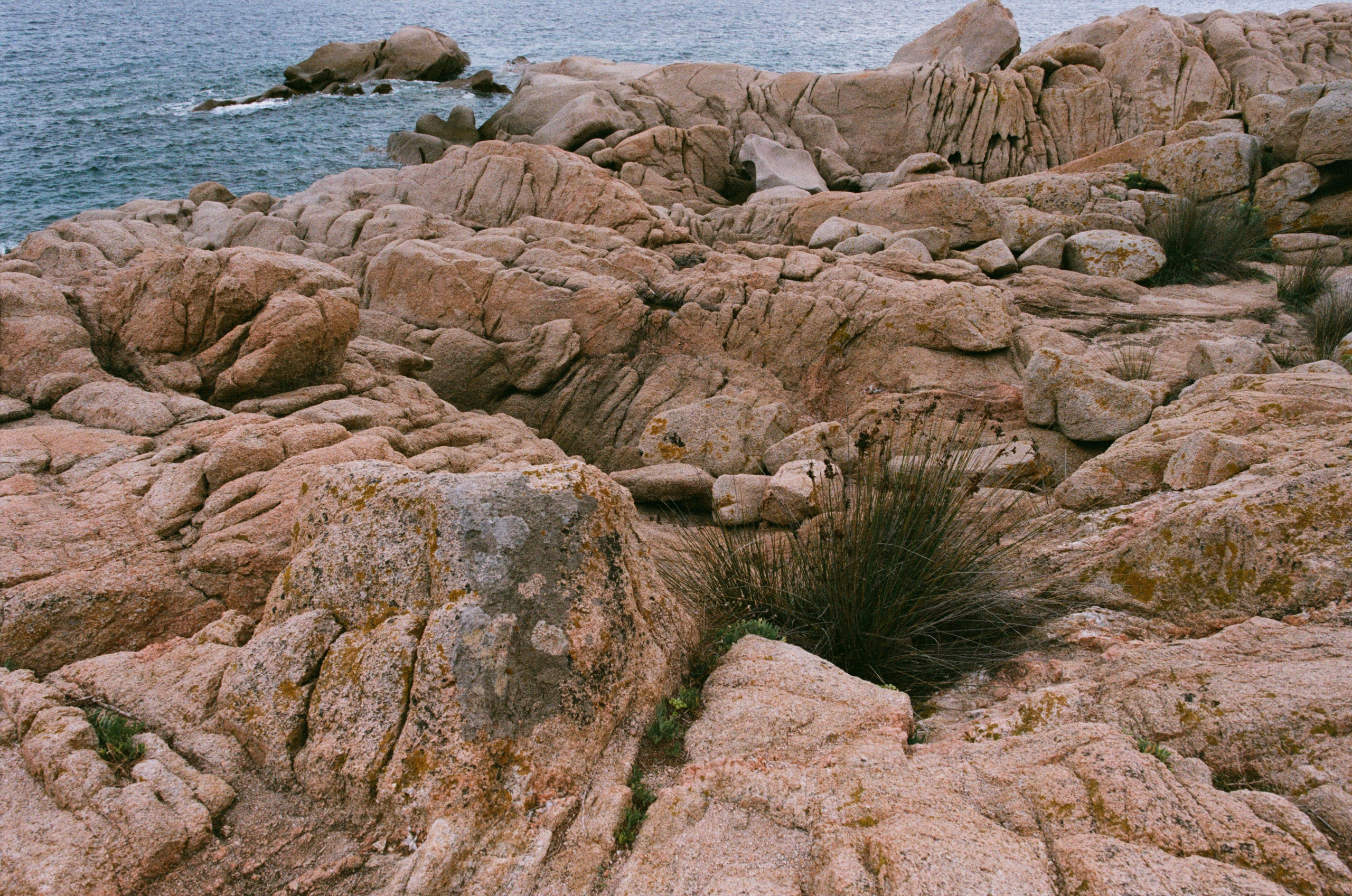 Coraline // sardinia, costa smeralda. EVER EXPOSED