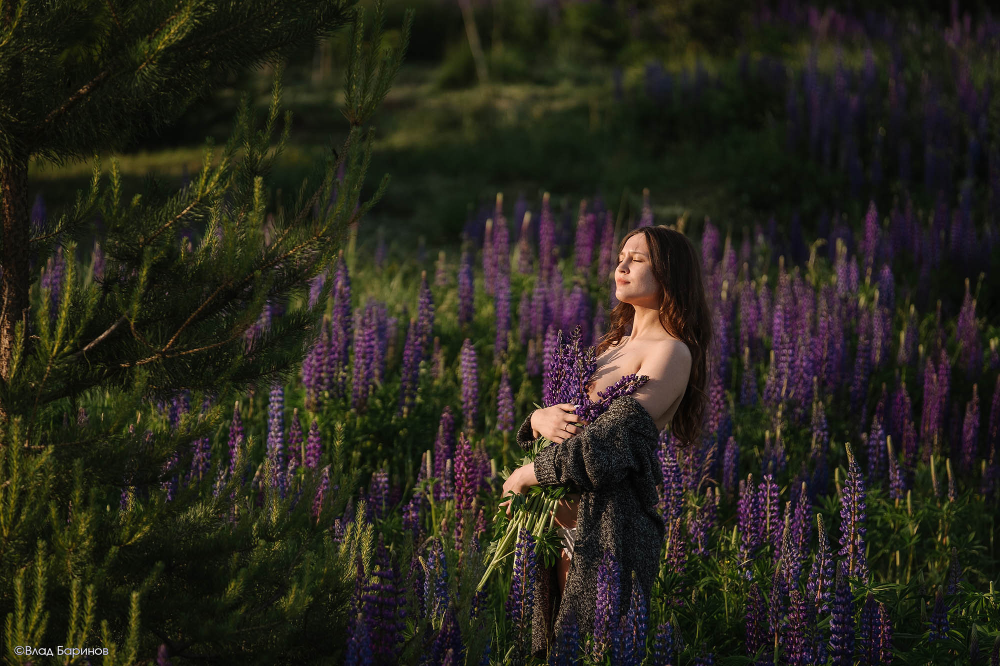 Беременная фотосессия в люпинах