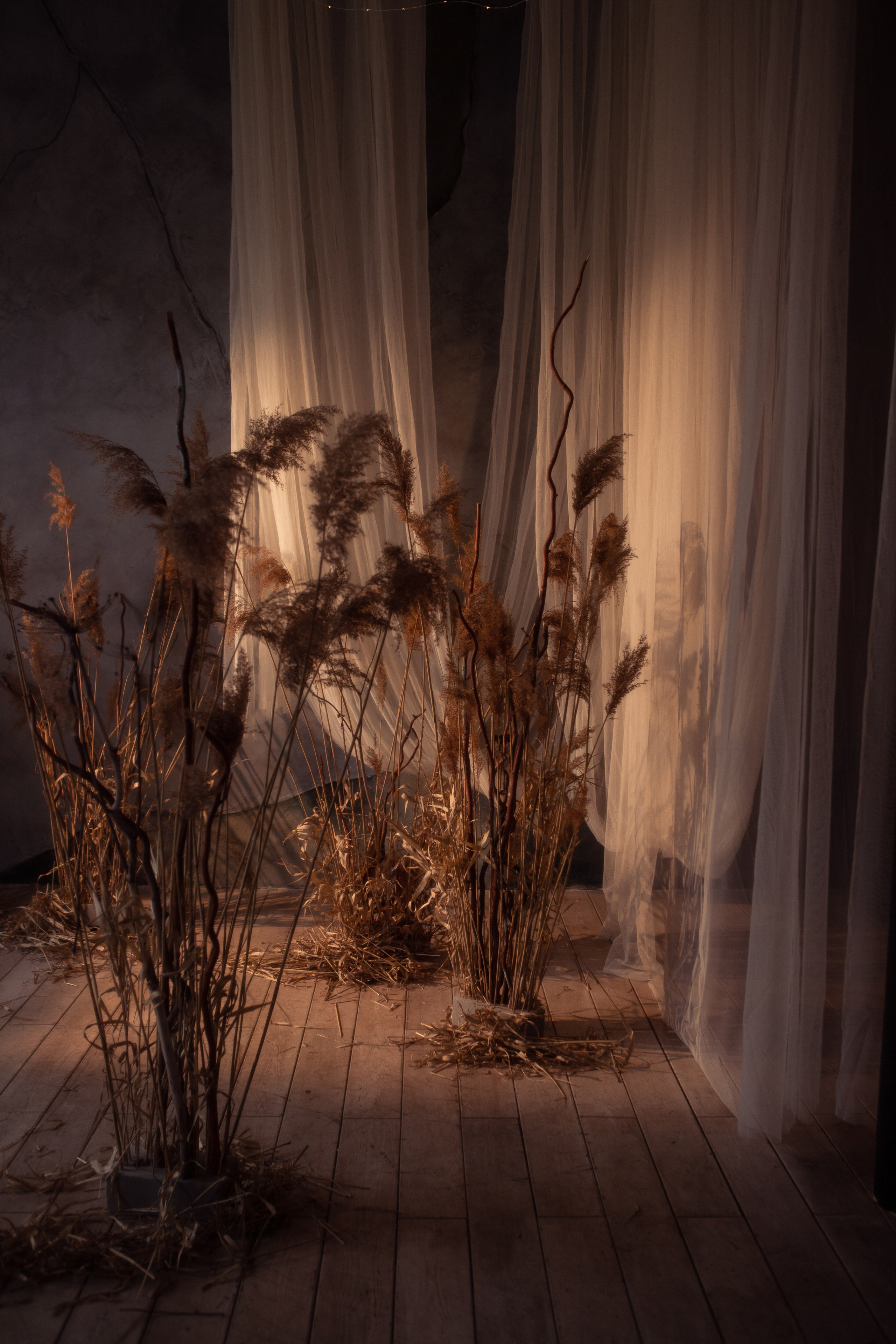 Лидия. Семейный и контент- фотограф Анна Уткина, Электросталь, Ногинск