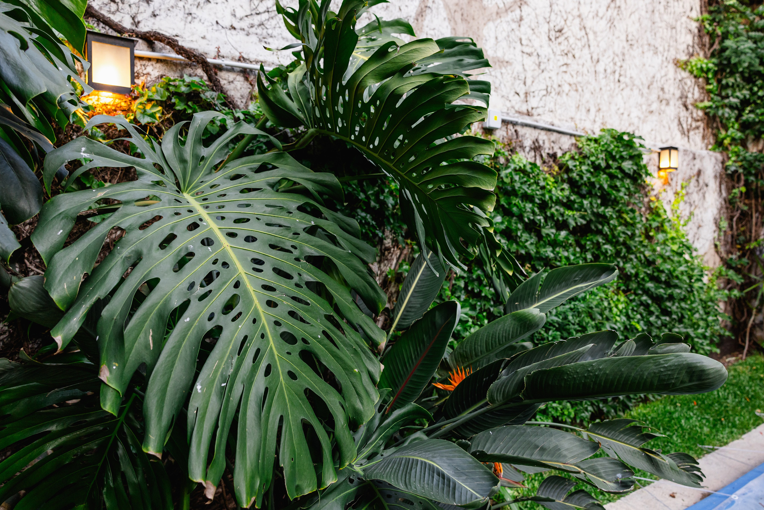 Дом (Argentina, Buenos Aires). Фотограф в Сочи, Репортажный фотограф Виктор Кочков-Филатов