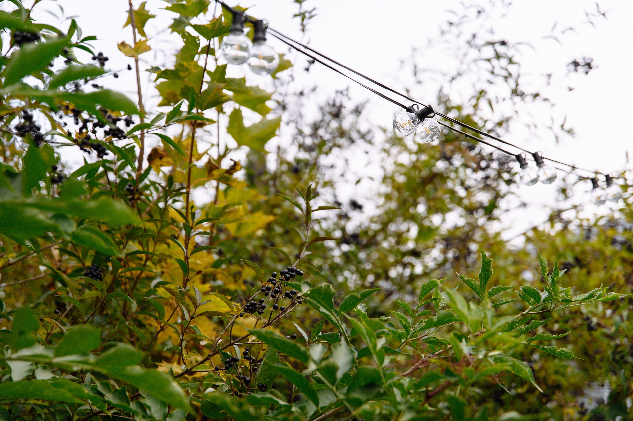 Евгений и Екатерина LA VILLA. Фотограф Кирилл Верт