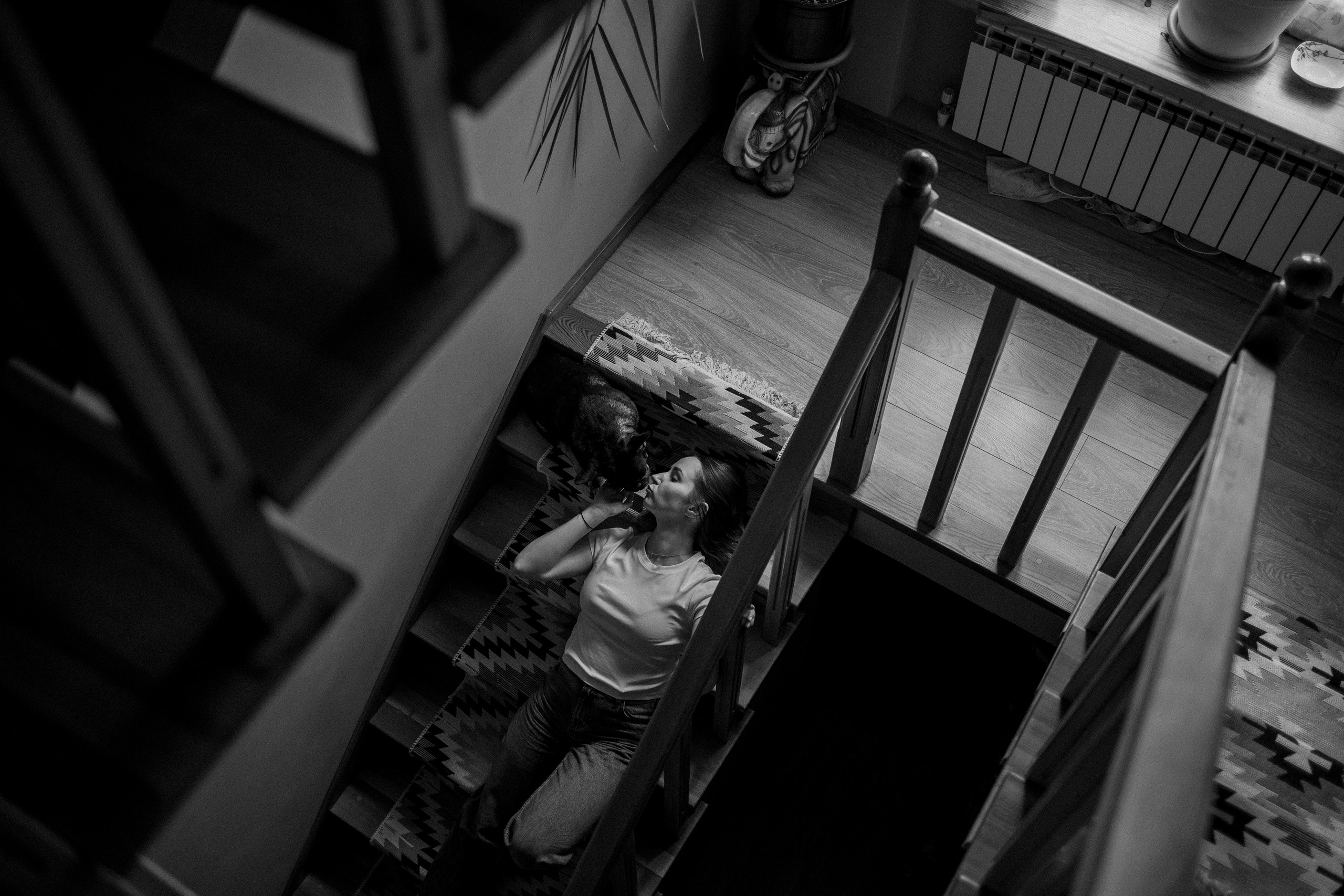 Софа и ее хвостики. Фотограф — Анималист | Санкт-Петербург