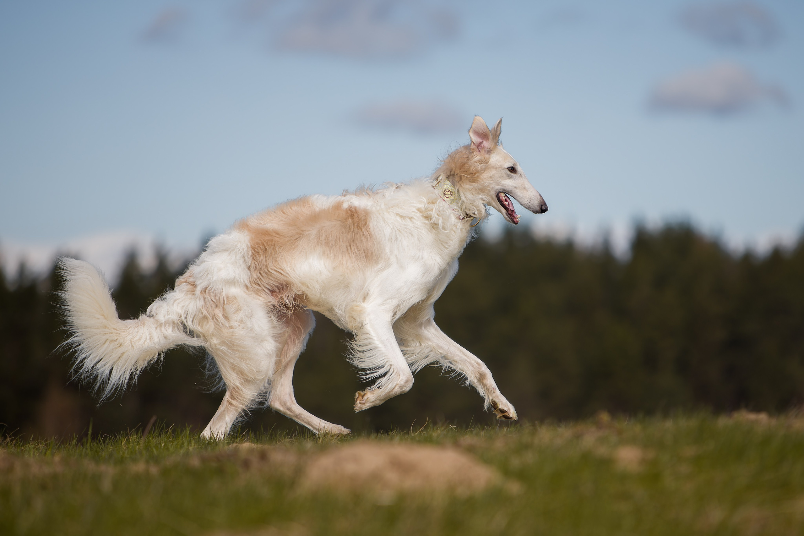 Lure Club 2025. Irenephoto.ru