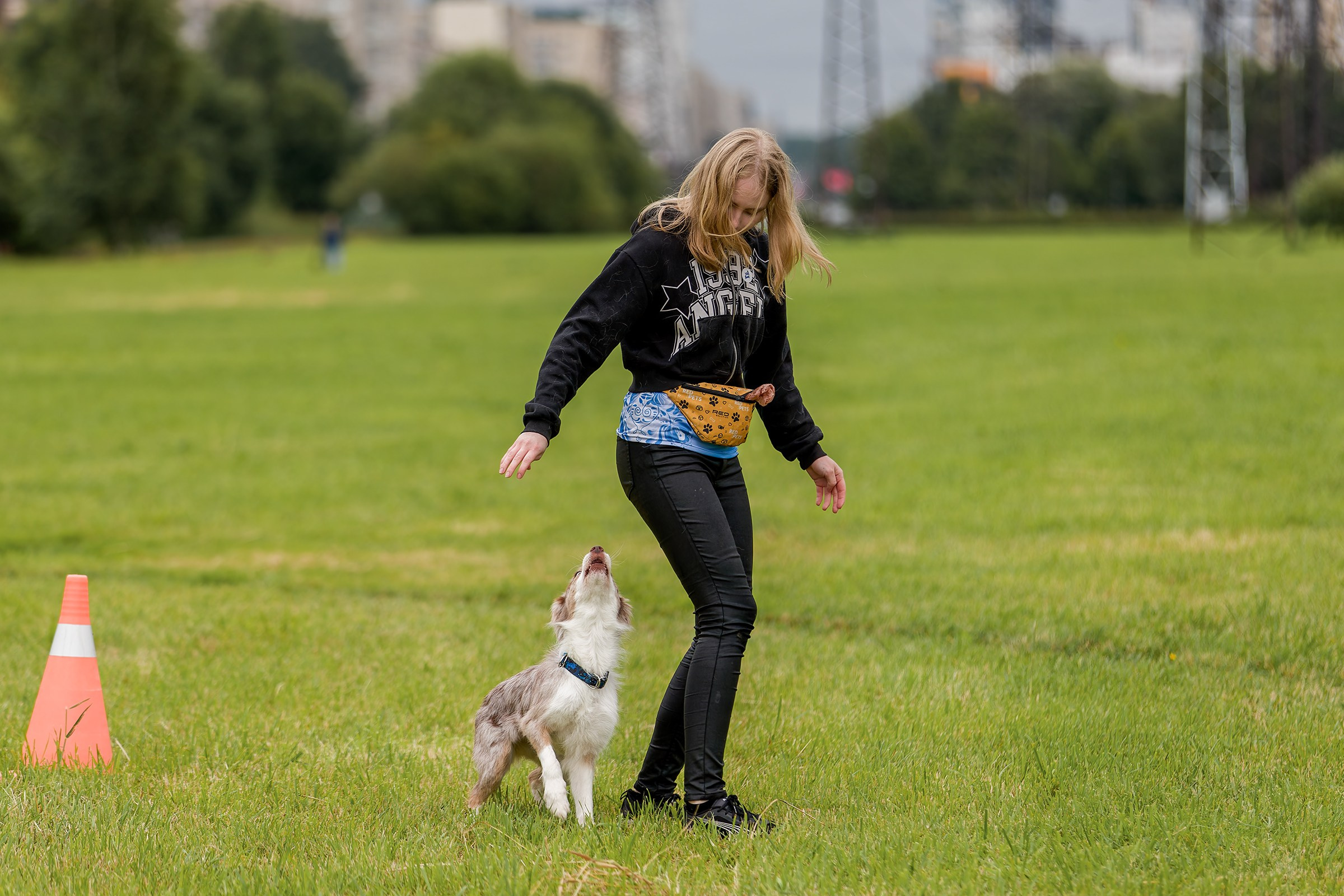 Живая Сила. Семейный фестиваль. Irenephoto.ru