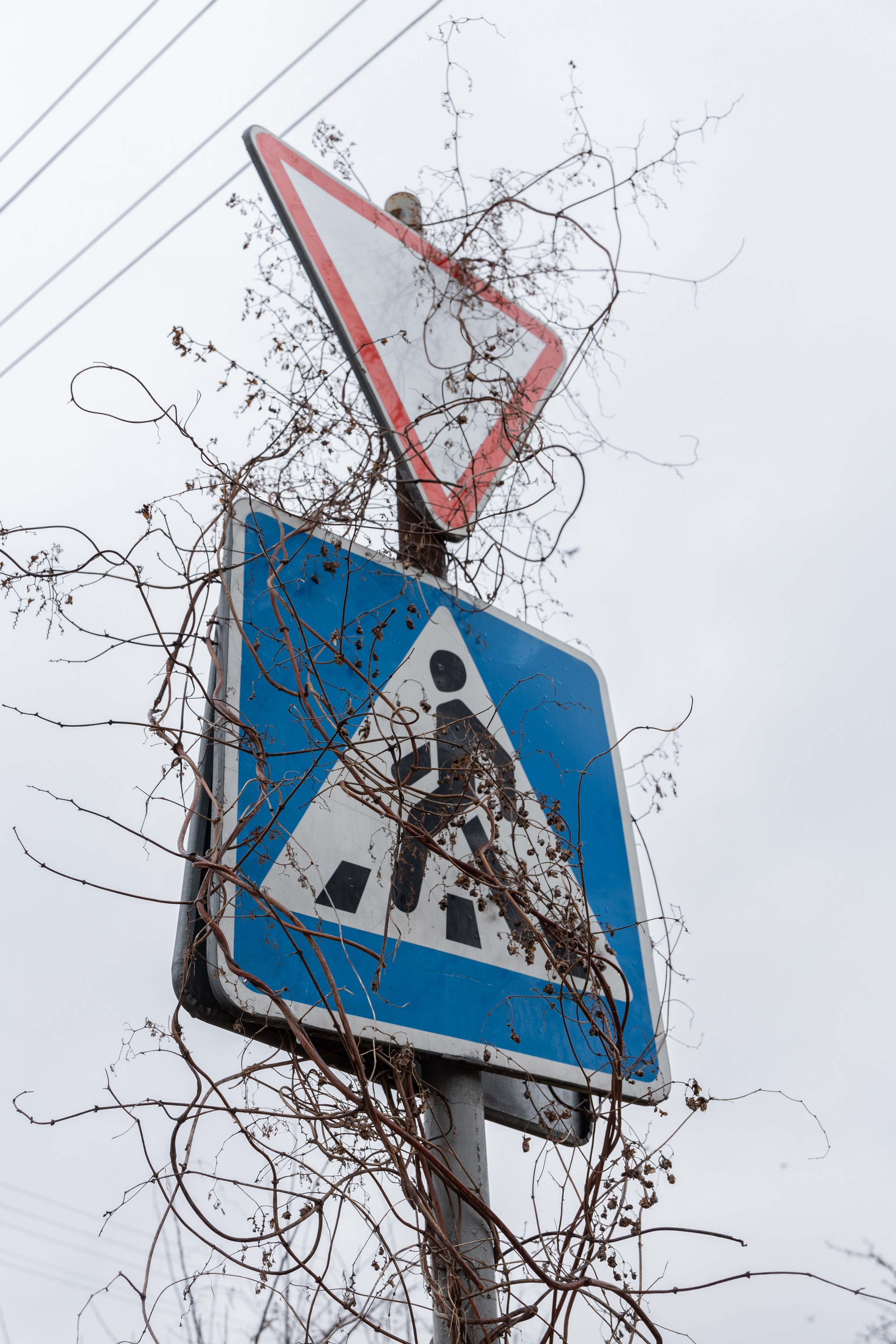 Около меня. Documentary photographer Anton Zdanovich