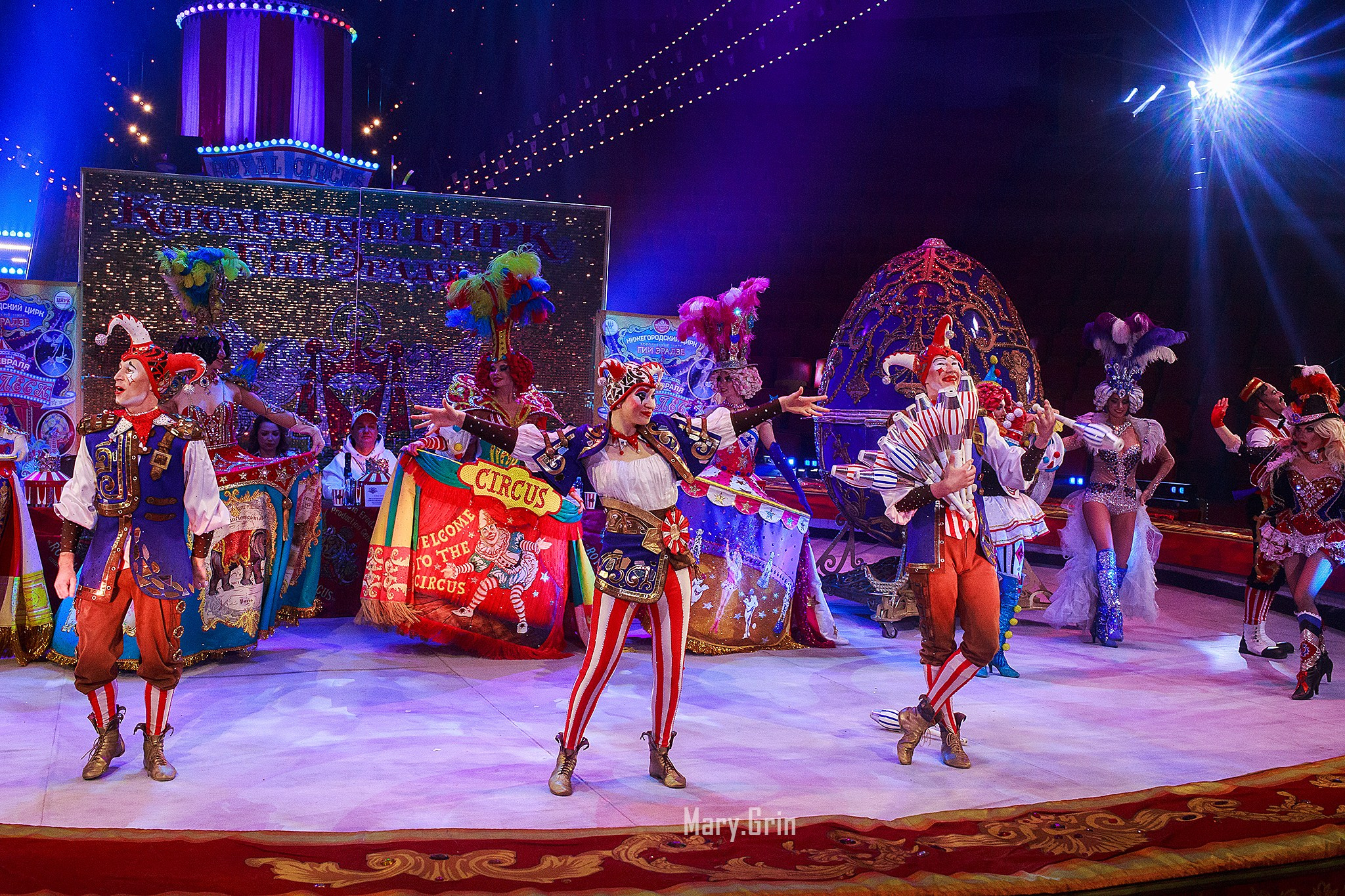 Цирк Гии Эрадзе. Детский и семейный фотограф, фотограф мероприятий Нижний Новгород