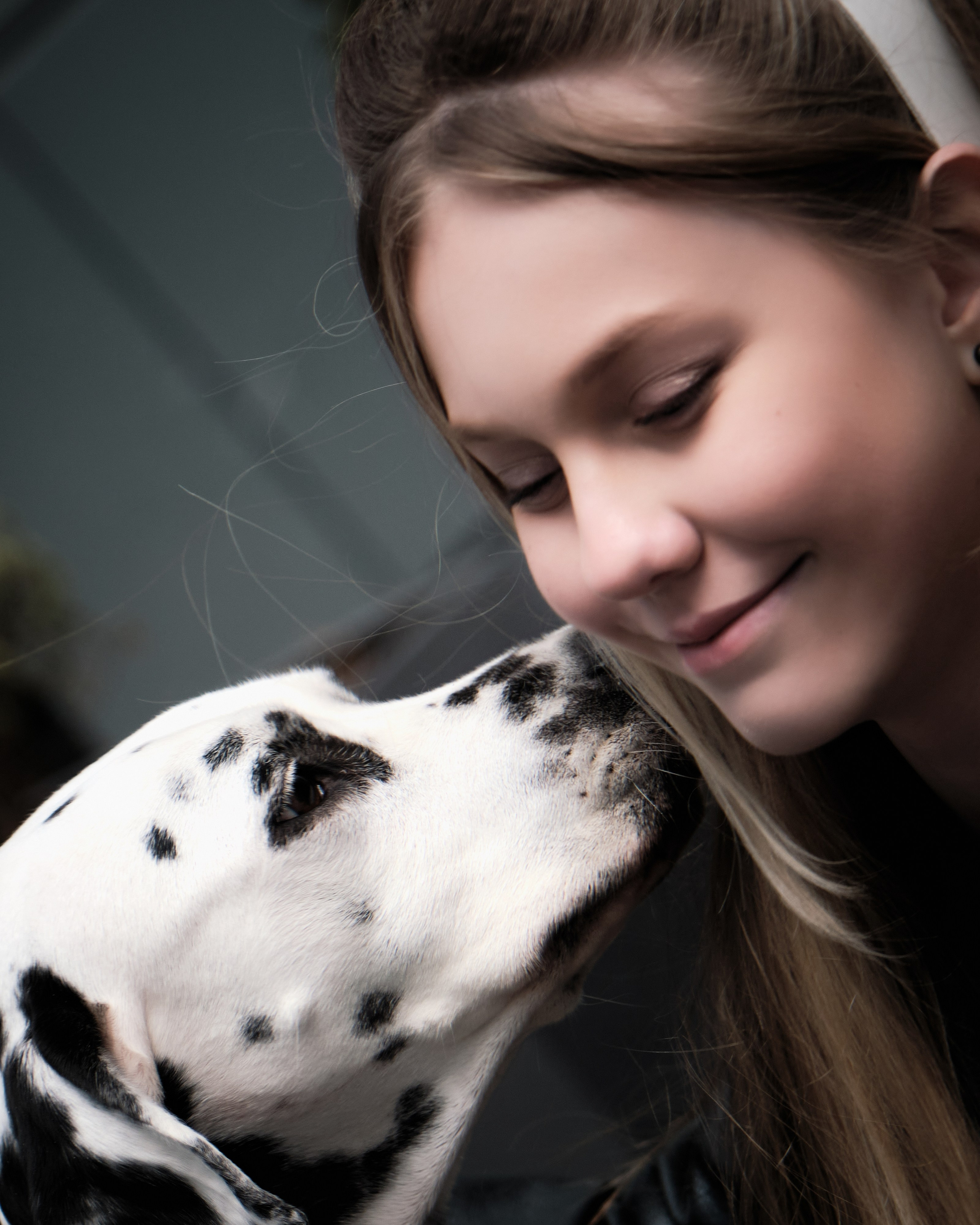 далматинец для фотосессии в Москве фотограф Виктория Колышева