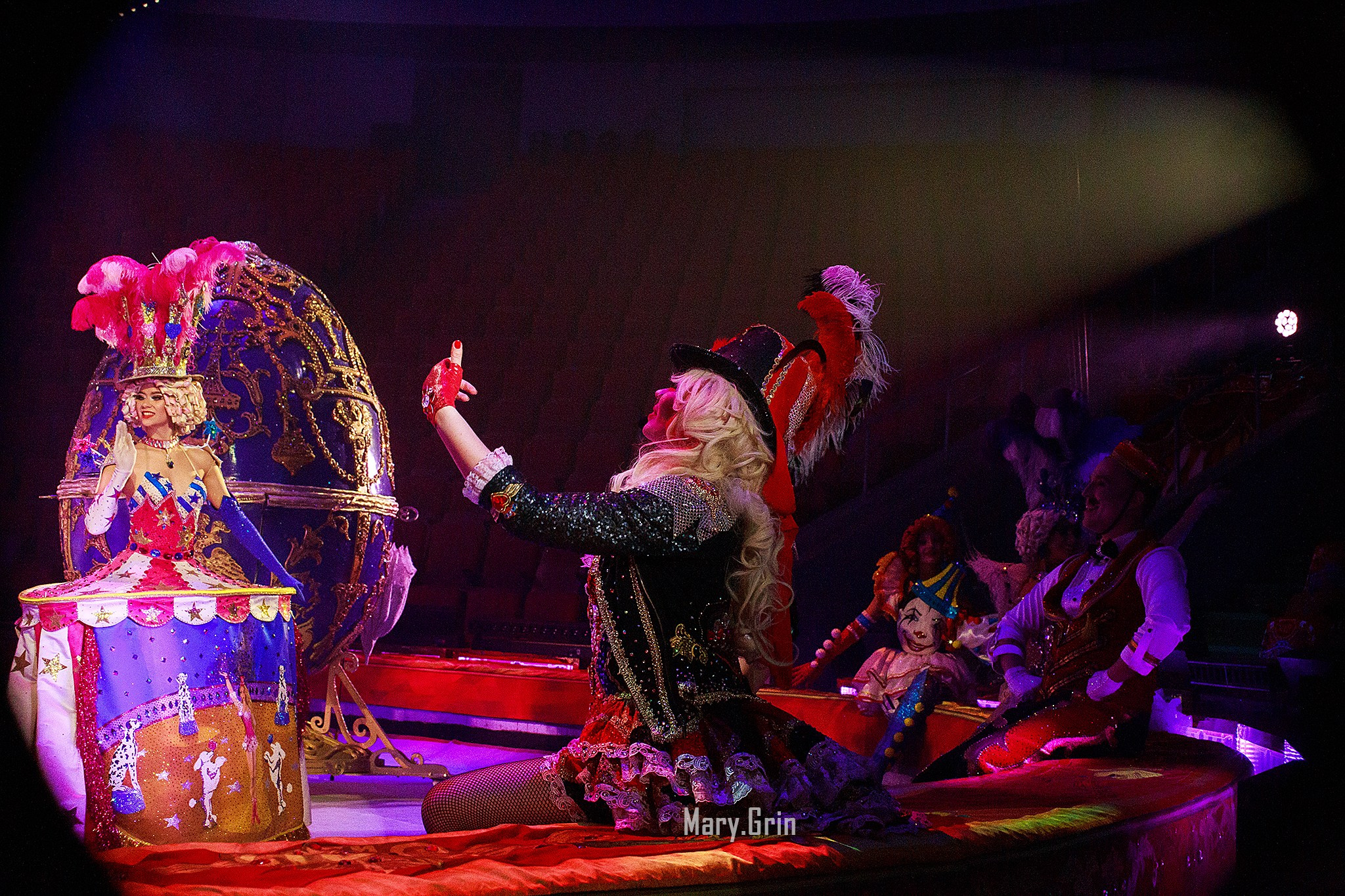 Цирк Гии Эрадзе. Детский и семейный фотограф, фотограф мероприятий Нижний Новгород