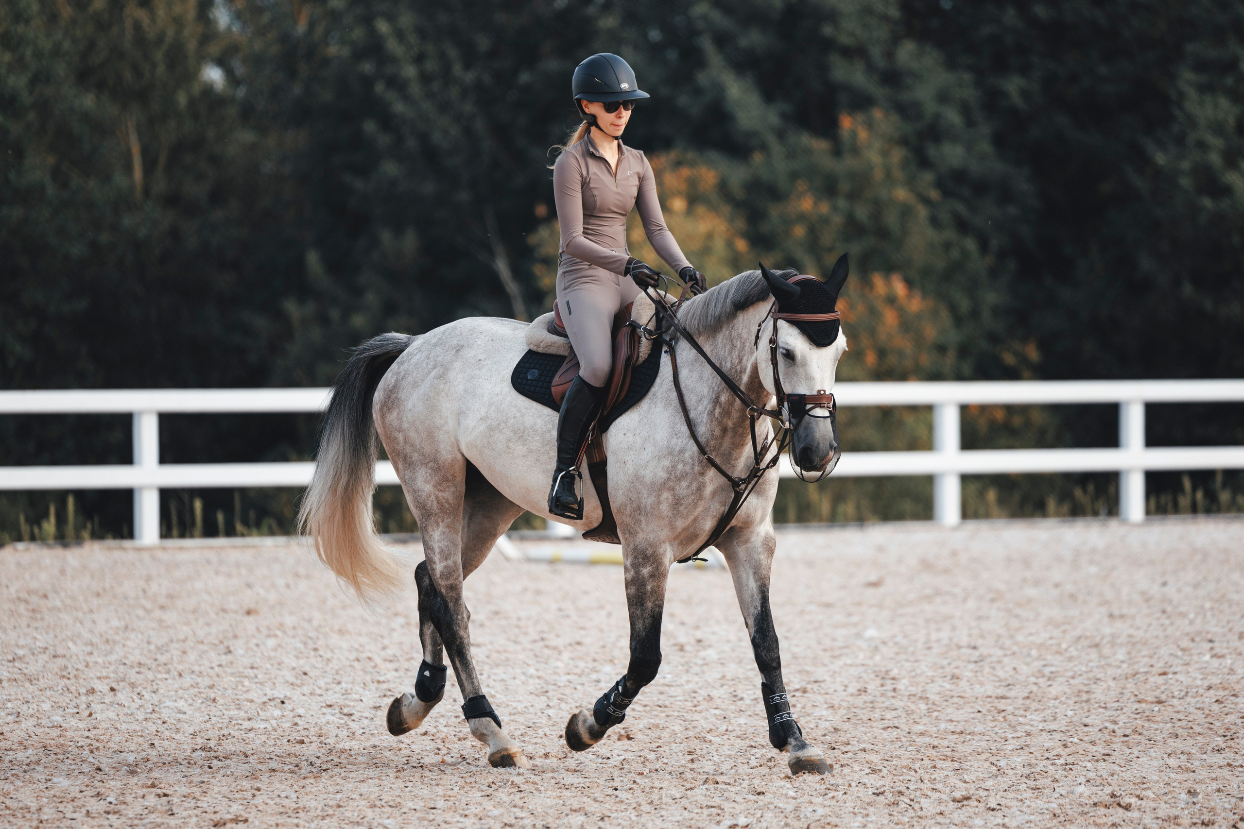 Конкур. Фотограф-анималист Анна Маринич