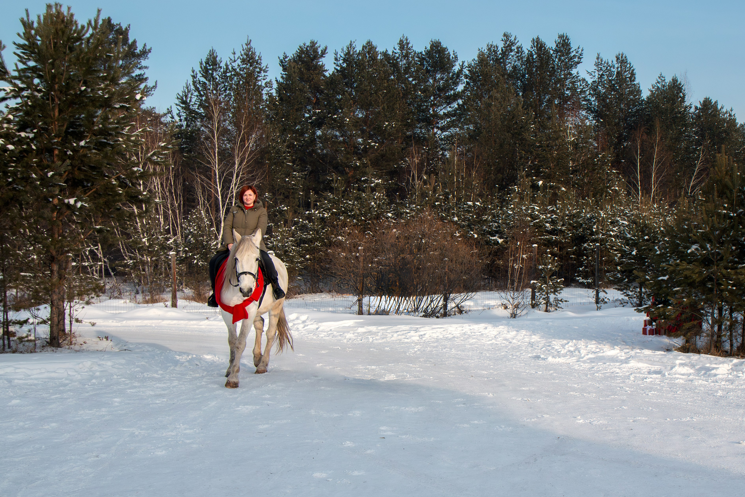 Татьяна с сыном. Участники «Новогоднего фотопроекта с лошадью»