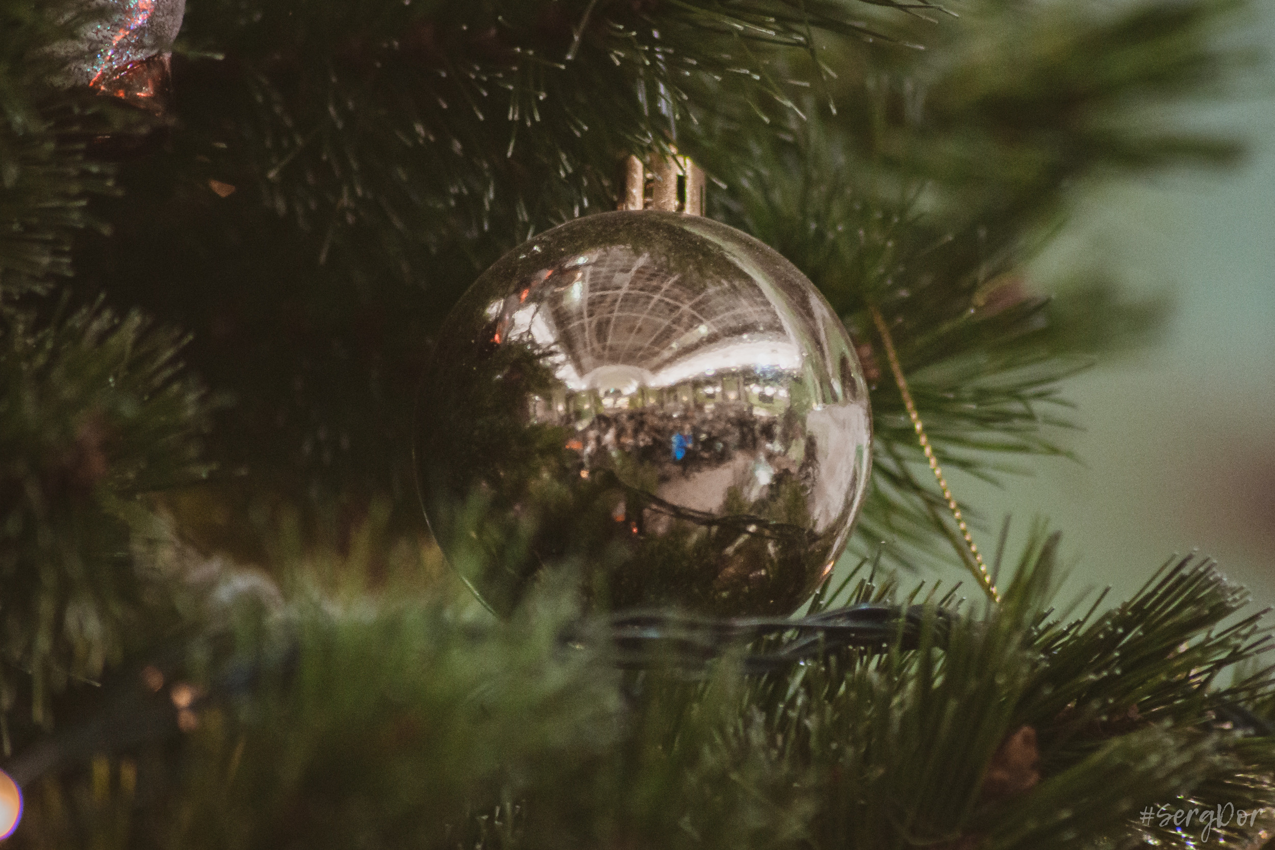 Дом книги, Джоанна Стингрей, Презентация книги, Конец андеграунда, Русский рок, 08 января 2022 года, Санкт-Петербург, Питер, #SergDor, 08.01.2022