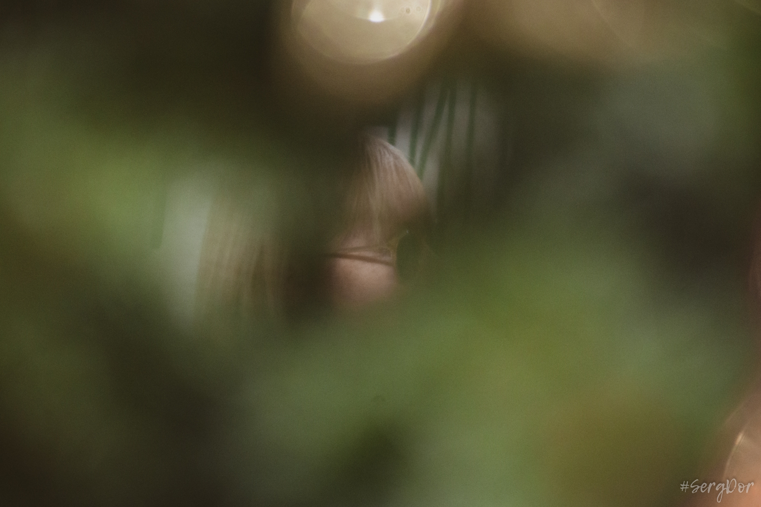 Дом книги, Джоанна Стингрей, Презентация книги, Конец андеграунда, Русский рок, 08 января 2022 года, Санкт-Петербург, Питер, #SergDor, 08.01.2022