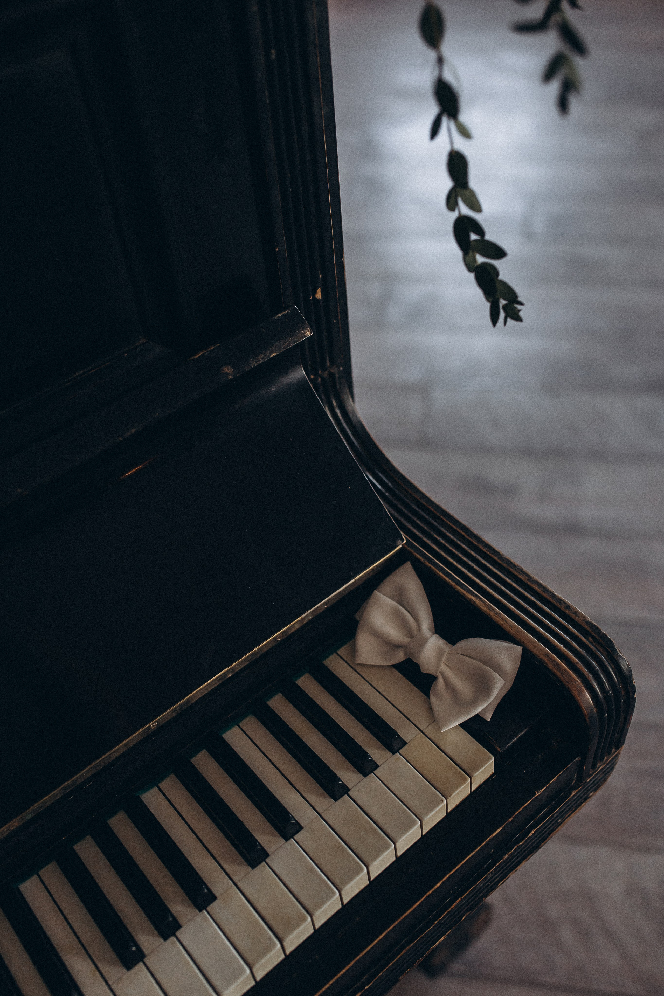 Маша & Даша. Свадебный и семейный фотограф в Перми Дарья Алекс