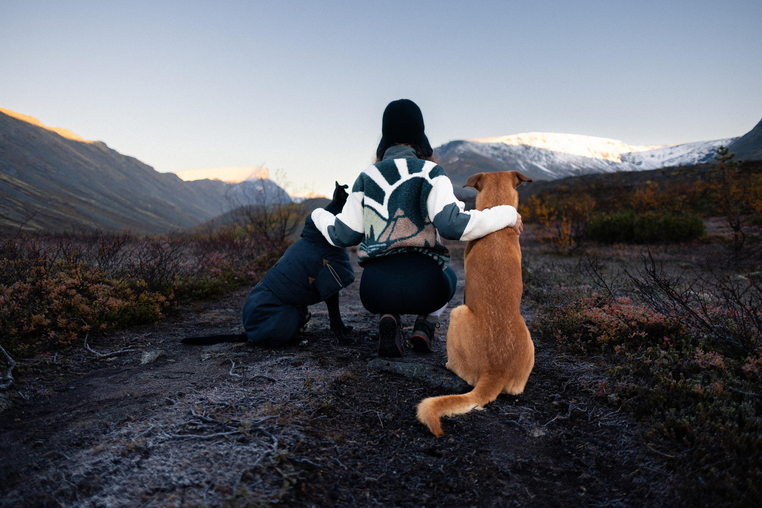 Кольский. Фотограф и видеограф анималист Аганина Дарья