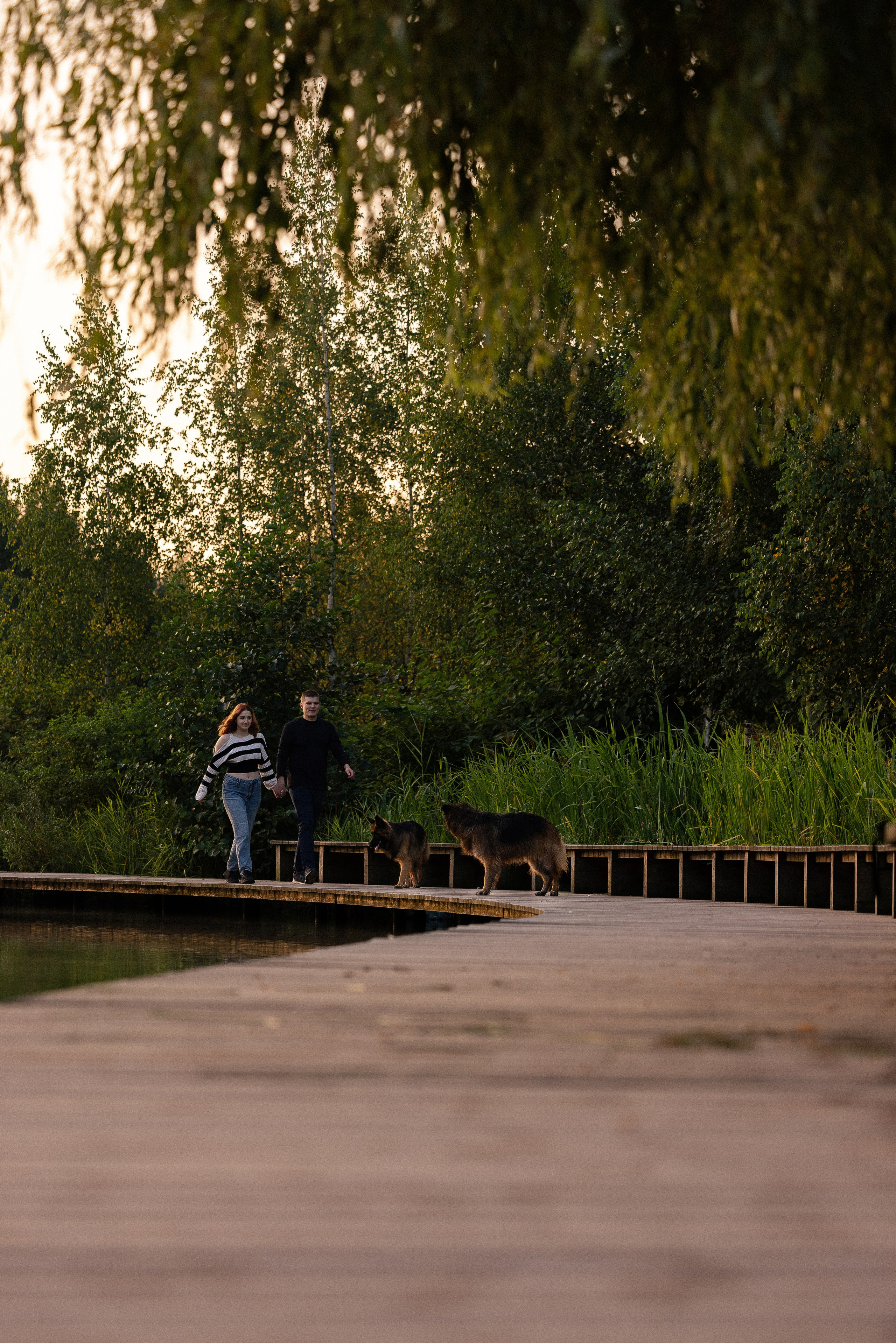 Алена, Матвей, Фанни и Фрея. Фотограф и видеограф анималист Аганина Дарья