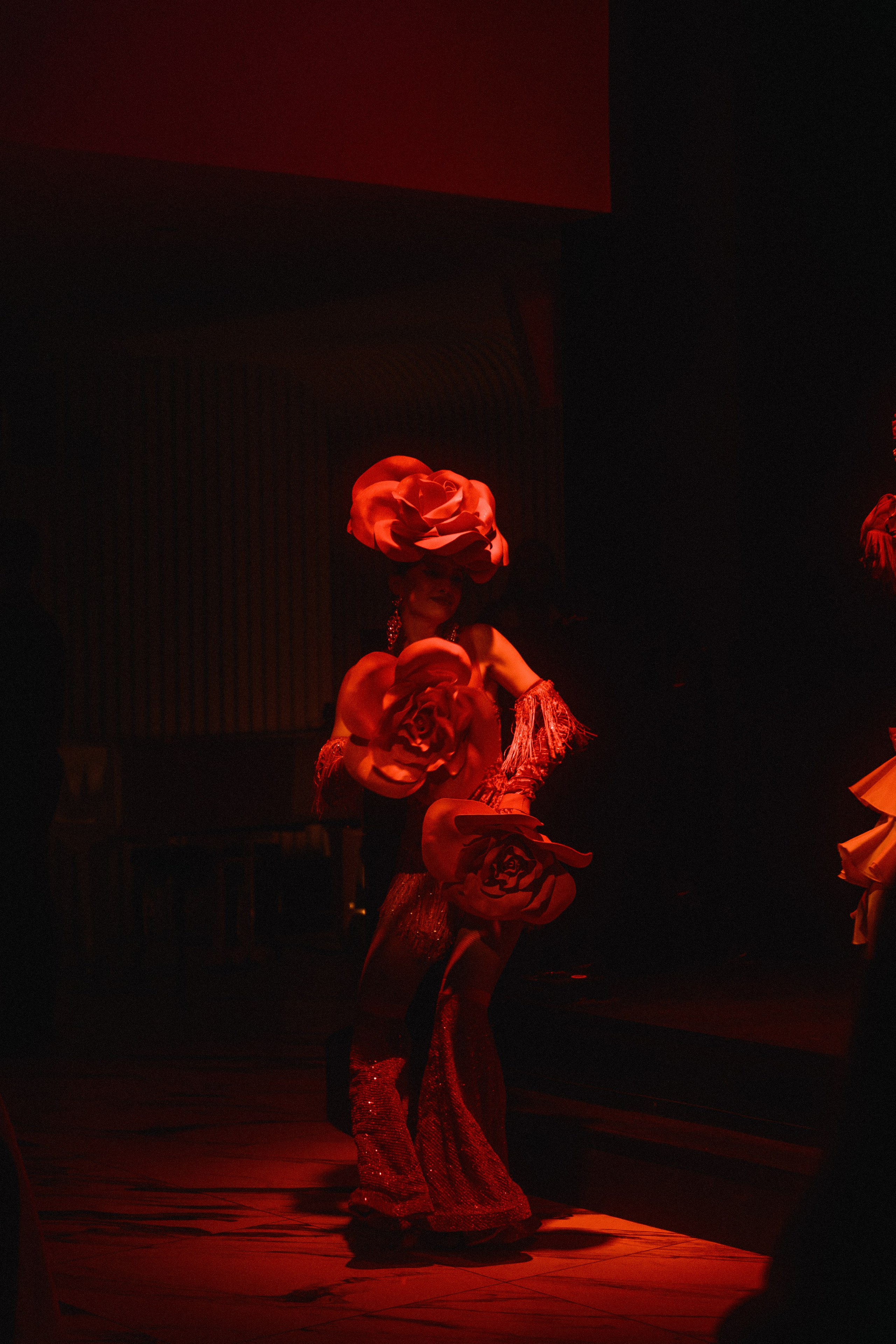 КОНЦЕРТЫ И ШОУ. Фотограф Владивосток Ян Паклин