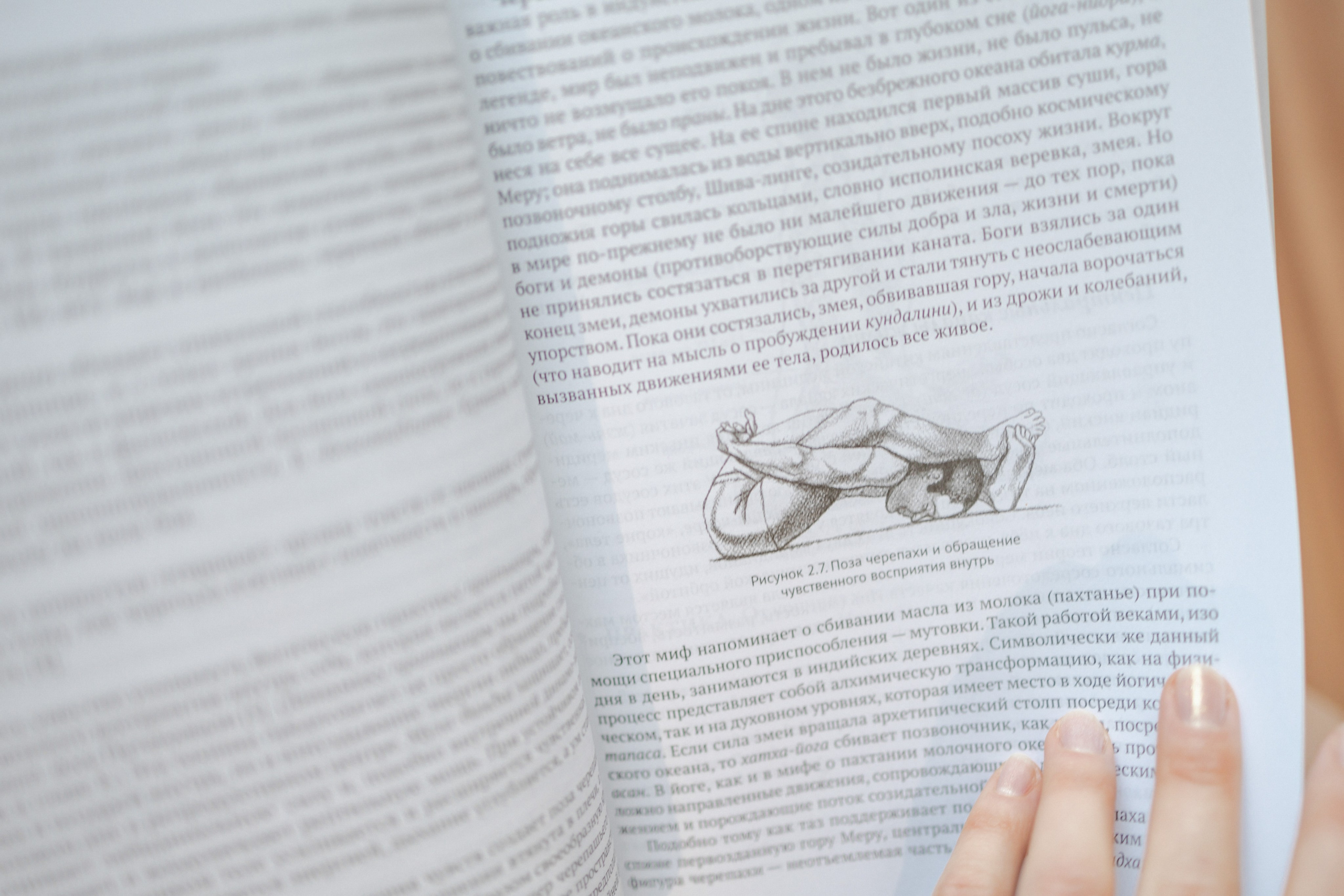 Анечка, преподаватель йоги. Семейный и свадебный фотограф в Самаре Анастасия Воропаева