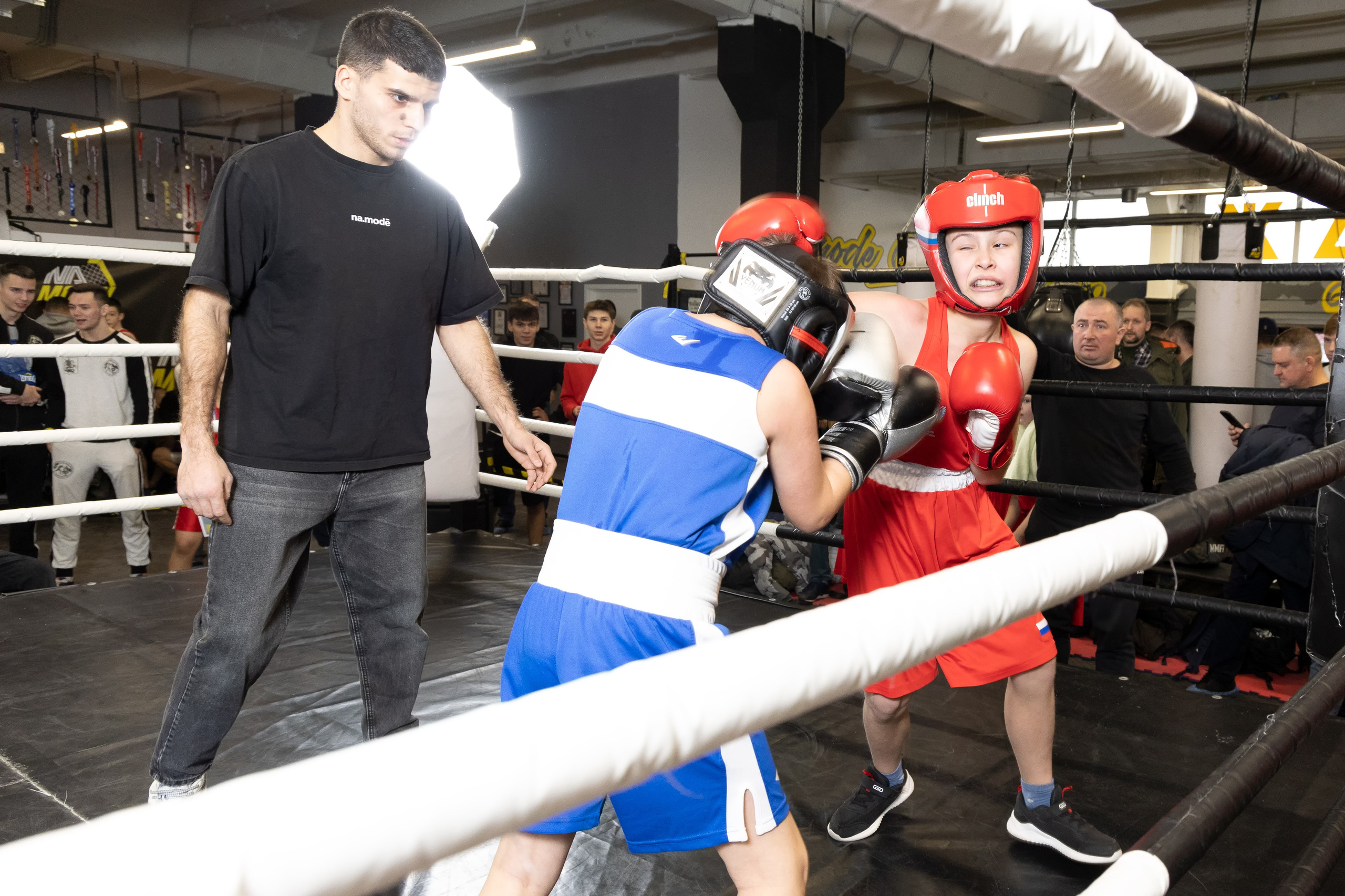 Бокс. Photomantis