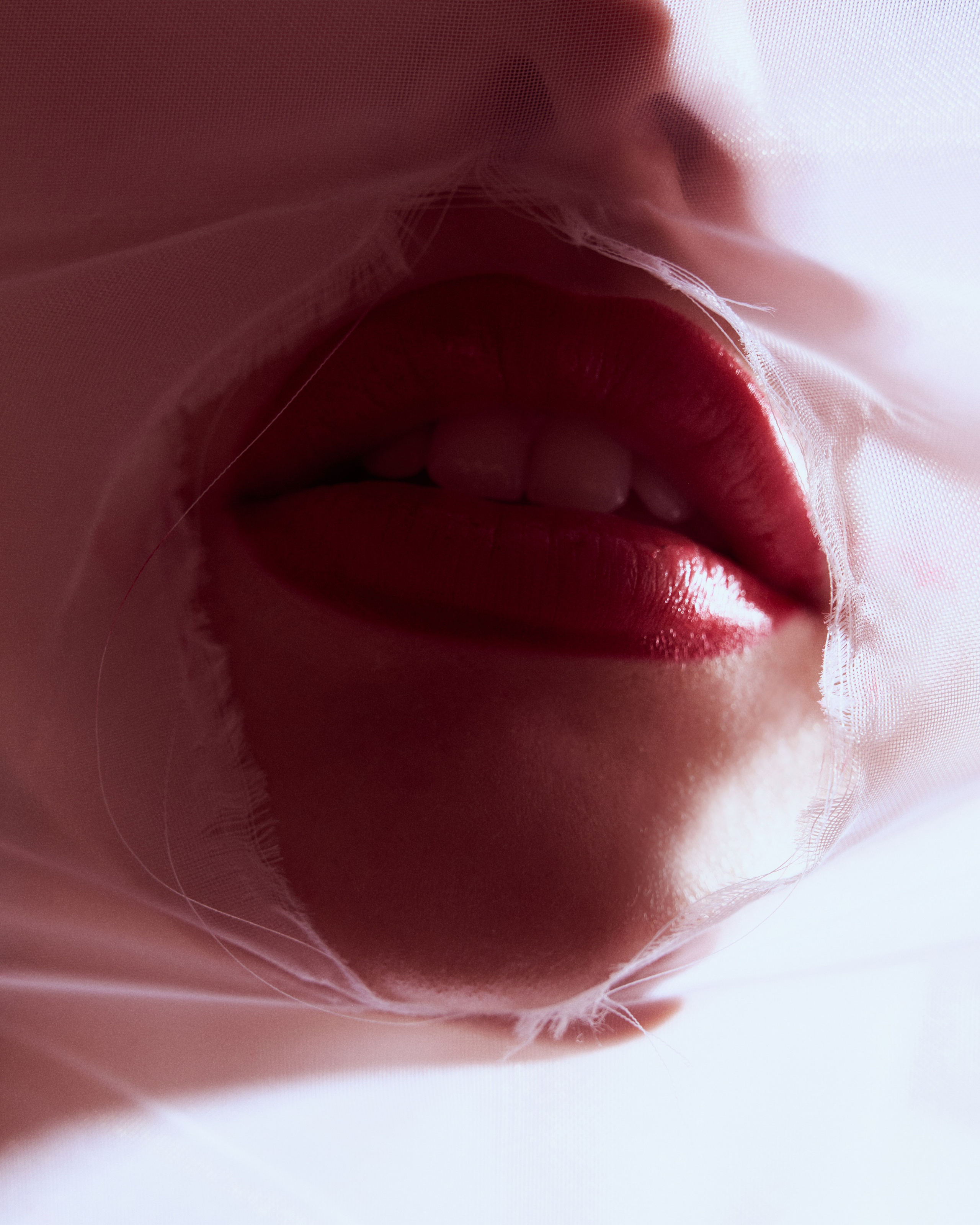 Tulle. Фотограф в Санкт-Петербурге Виталий Кедов