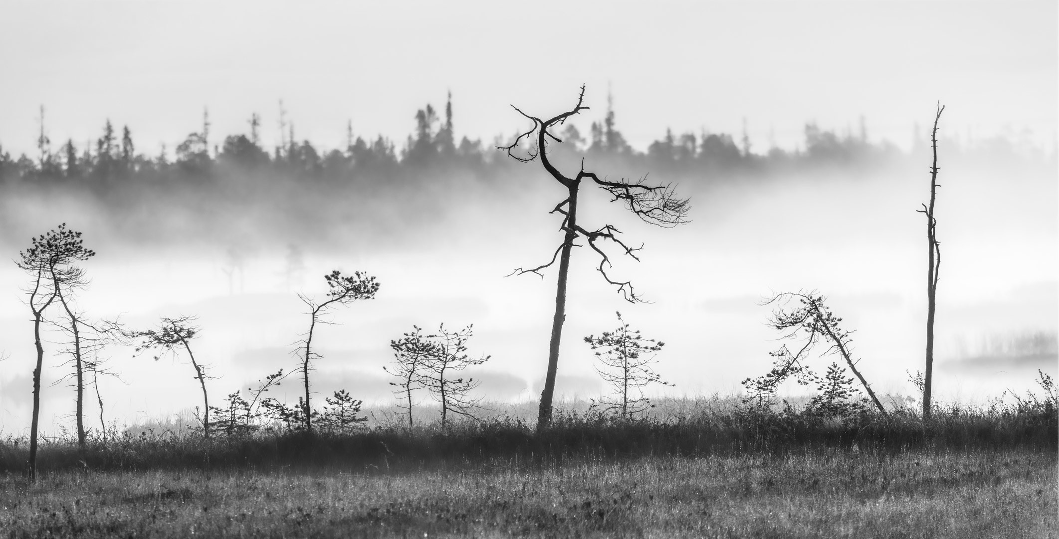 Полигональные озёра, Хибины. Yuri Ovchinnikov Photography, St. Petersburg, landscape photography