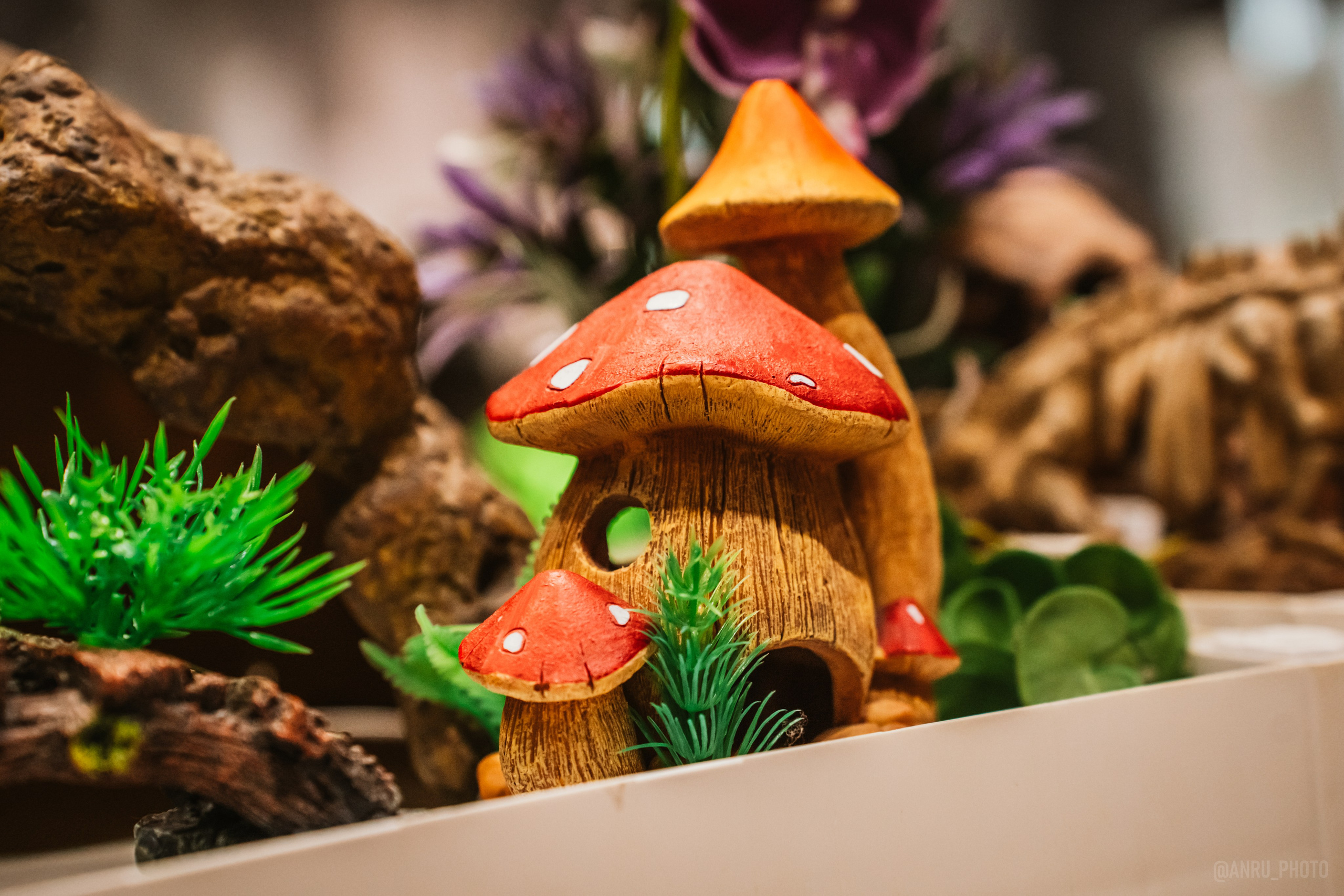 Рептилиум (ручная работа). Репортажный фотограф Анастасия Рубцова