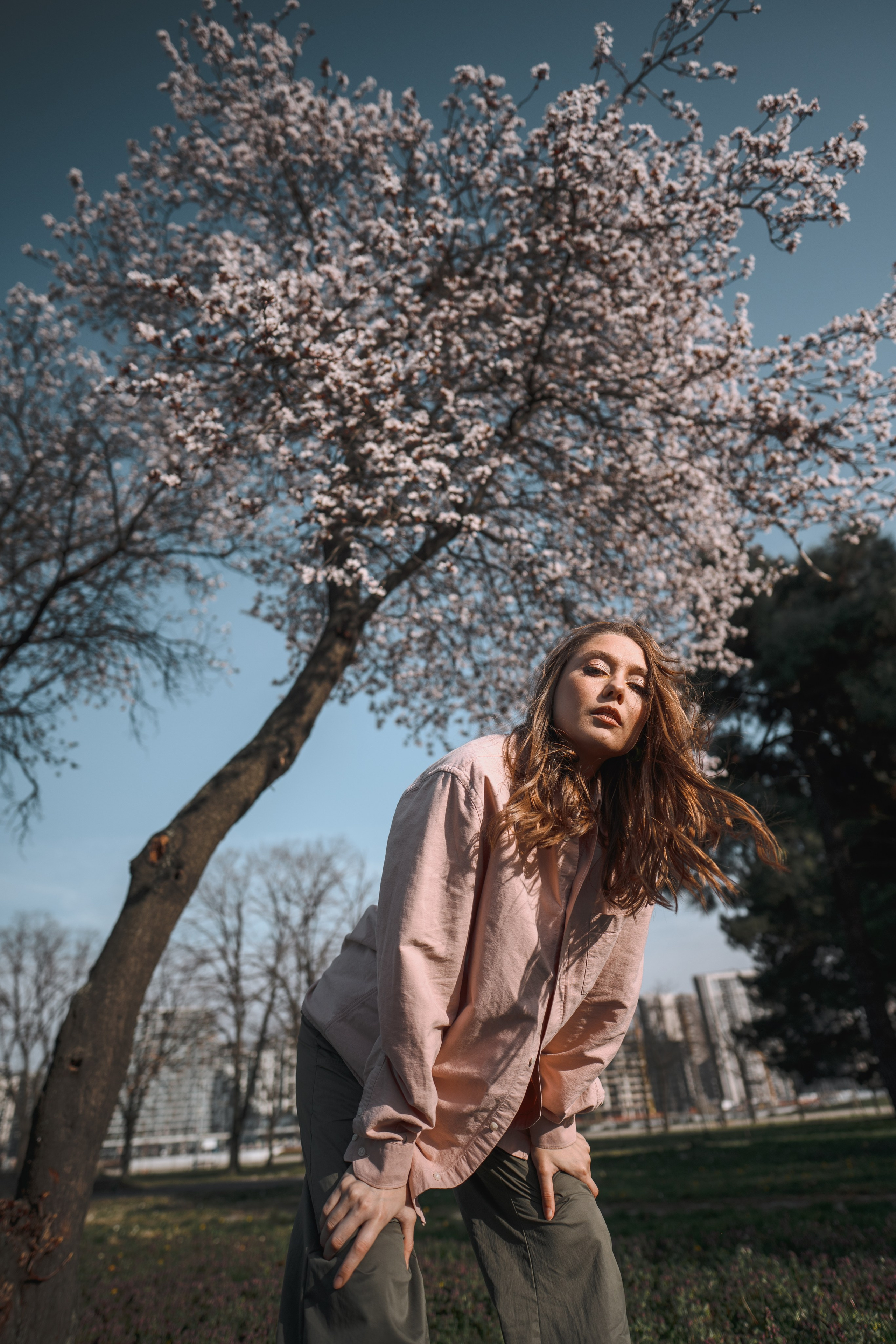 ЦВЕТЕНИЕ ВИШНИ В БЕЛГРАДЕ. Фотограф в Белграде Чугреева Елена