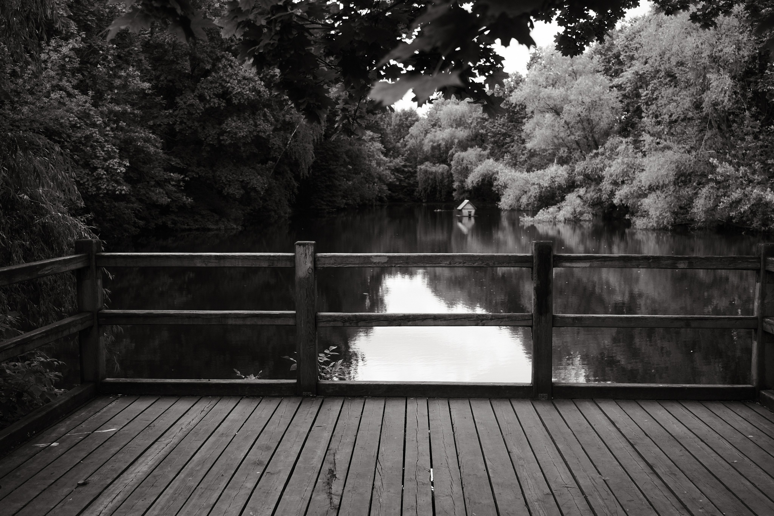 Прогулка по Воробьёвым горам. Фотограф Михаил Ерохин | Москва