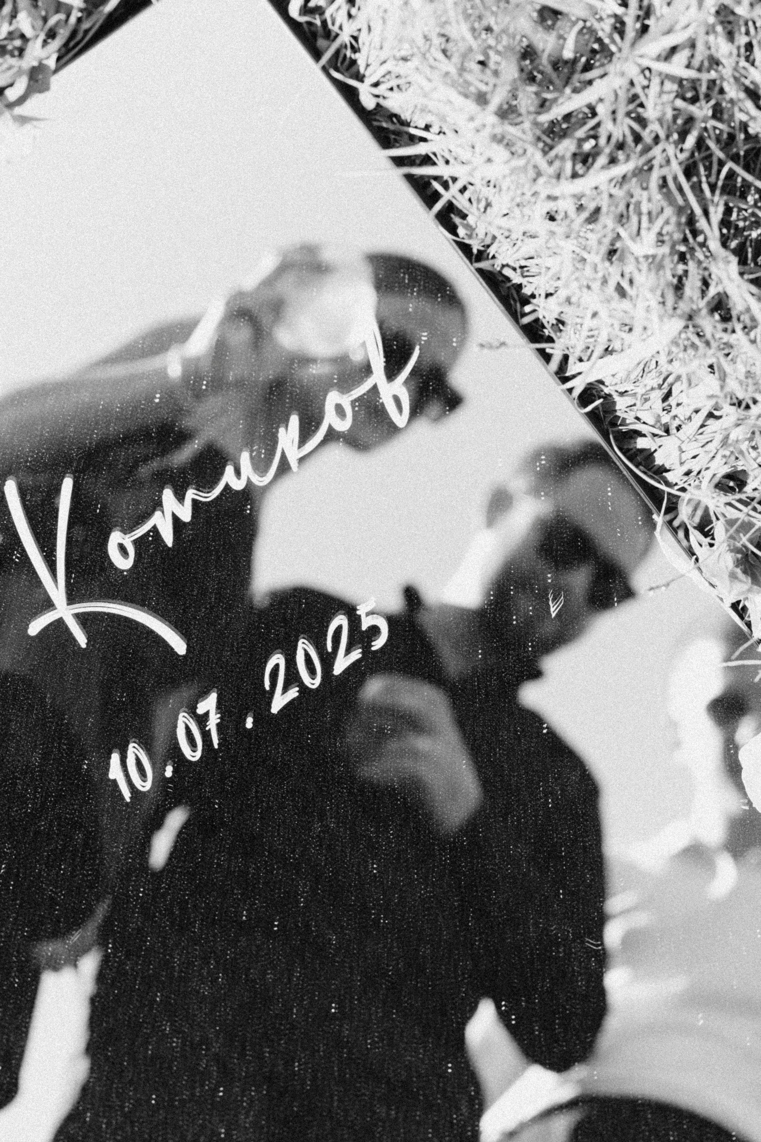 Котики. Свадебный фотограф Наташа Алешина