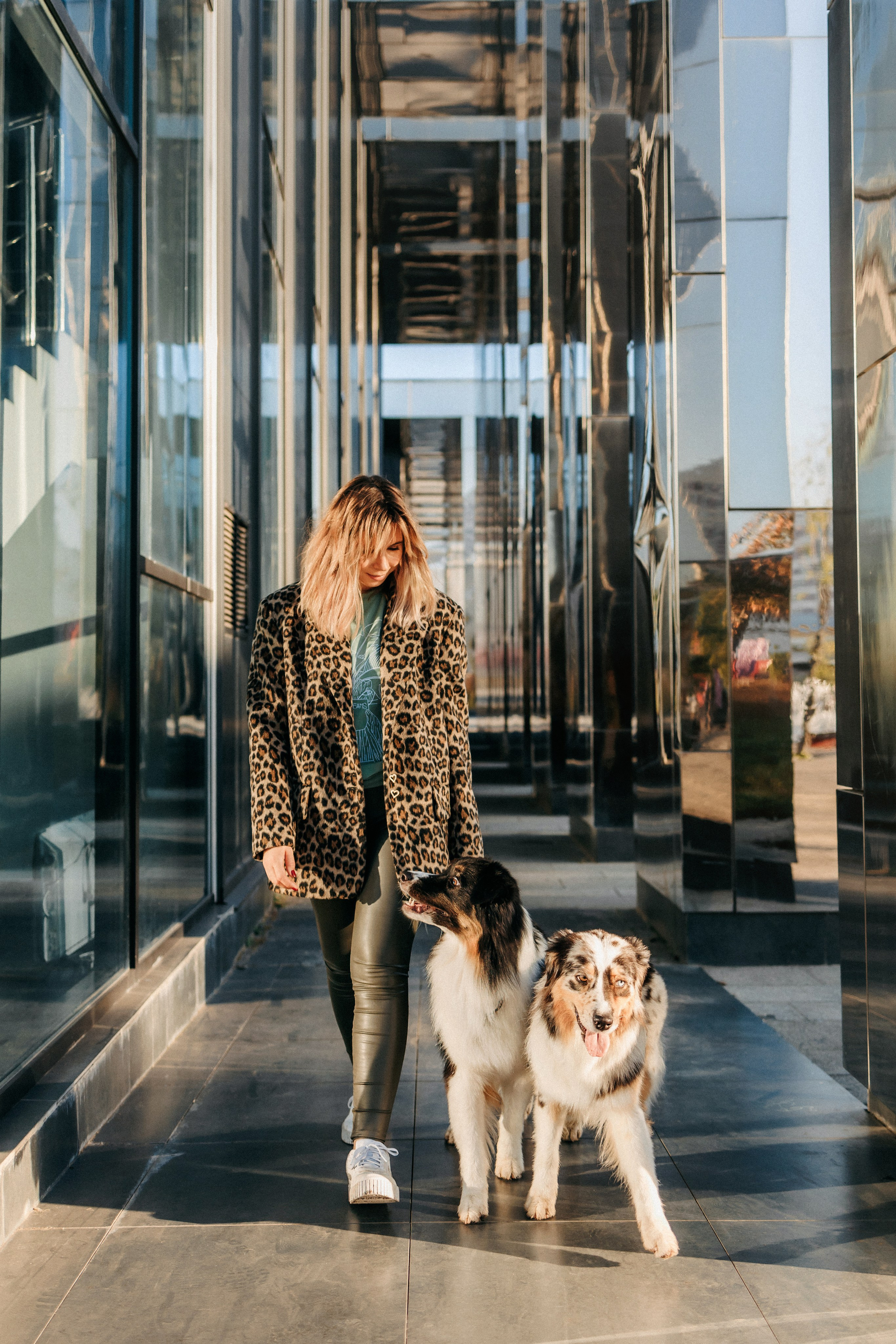 Аня, Чарли и Ева. Фотограф-анималист Елена Радченко, Москва