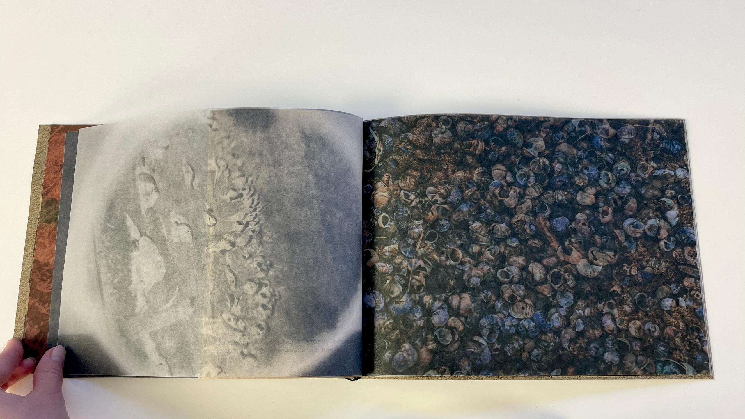 Холодный пляж. Катерина Эделева