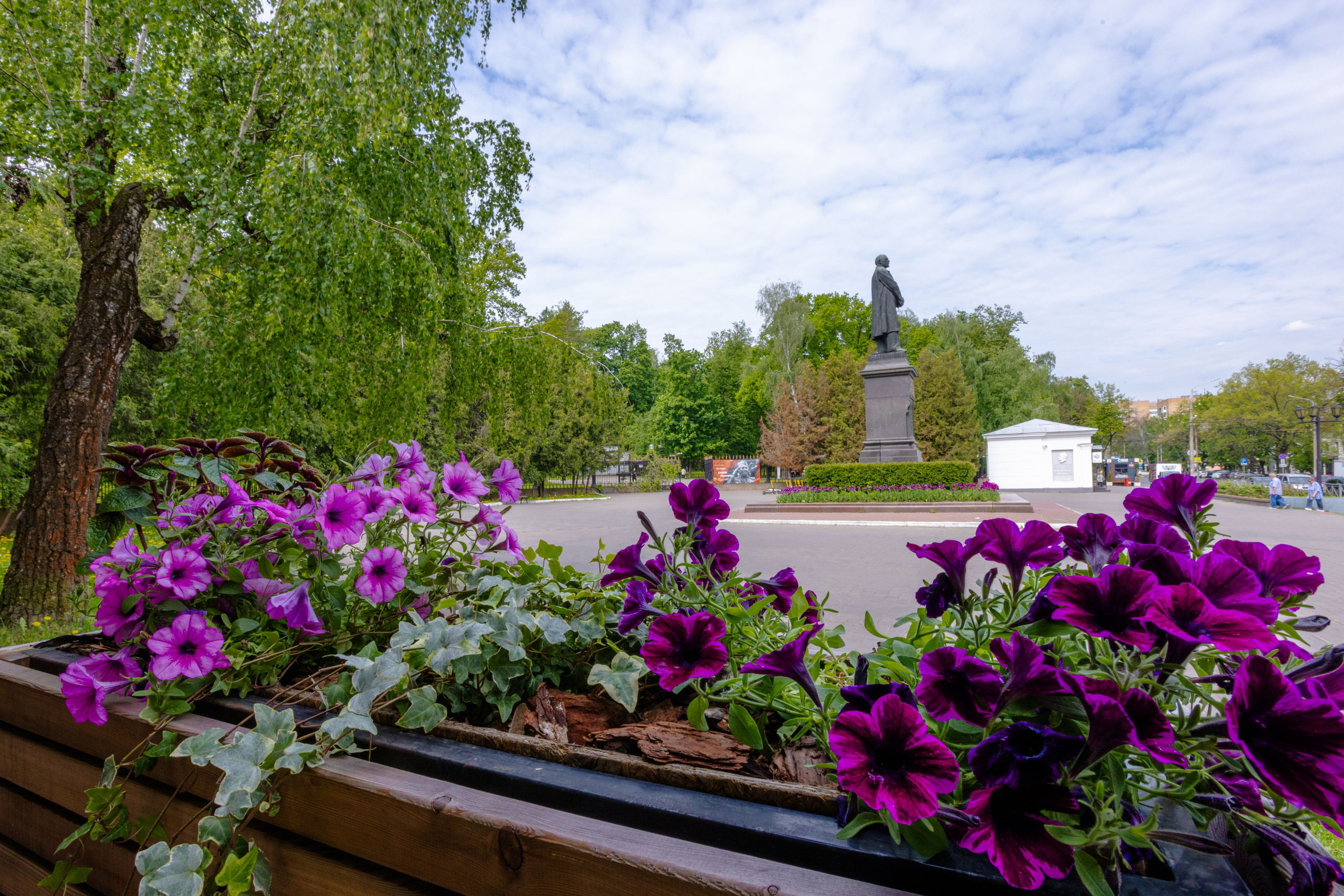 Парк им. П. П. Белоусова г. Тула 2024 г. Фотограф в Туле Крупский АнДРей. Фотостудия «КАДР71» в Туле