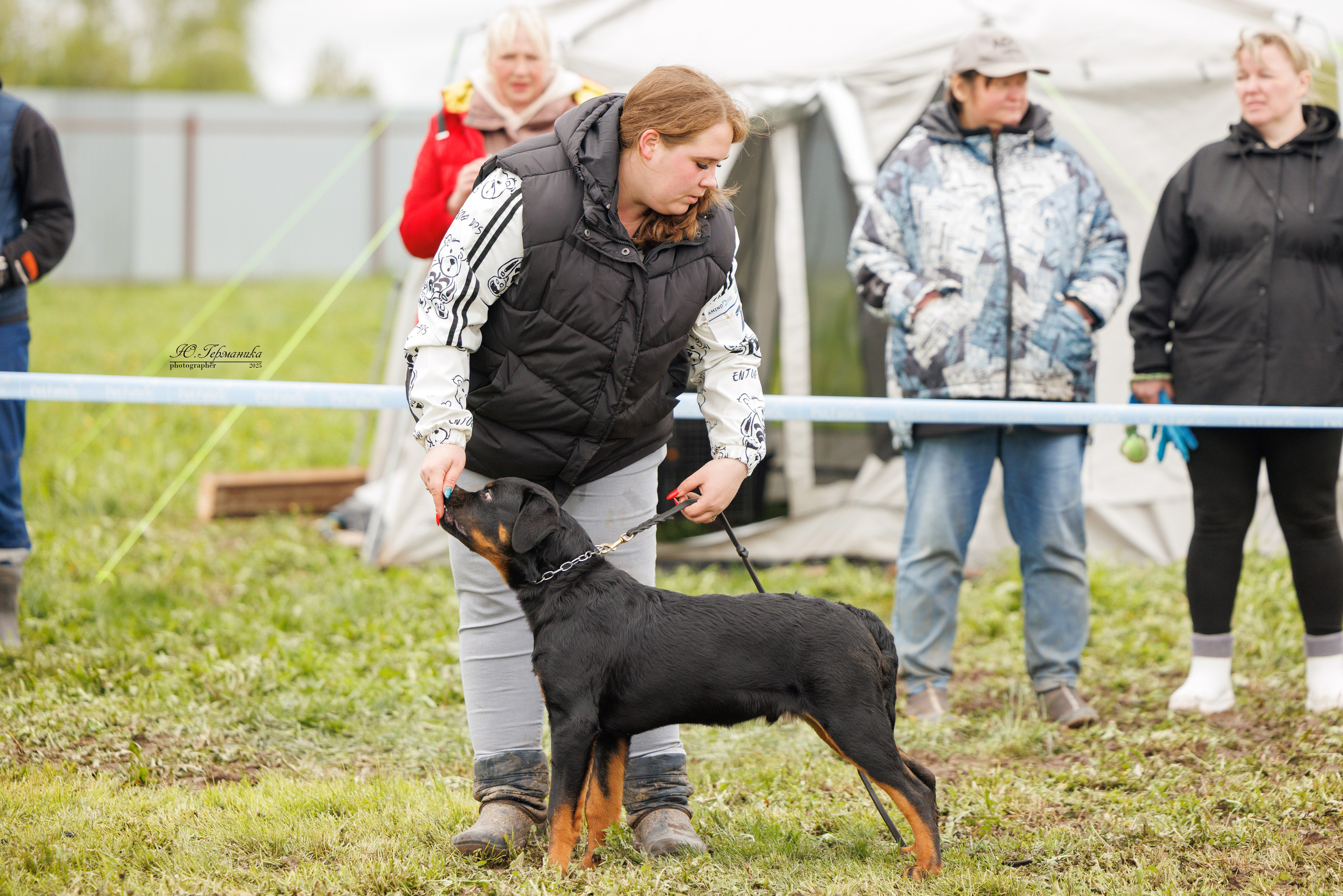 Нижний Новгород 2хмоно ротвейлеров 10-11.05.2025. Фотограф-анималист Юлия Германика