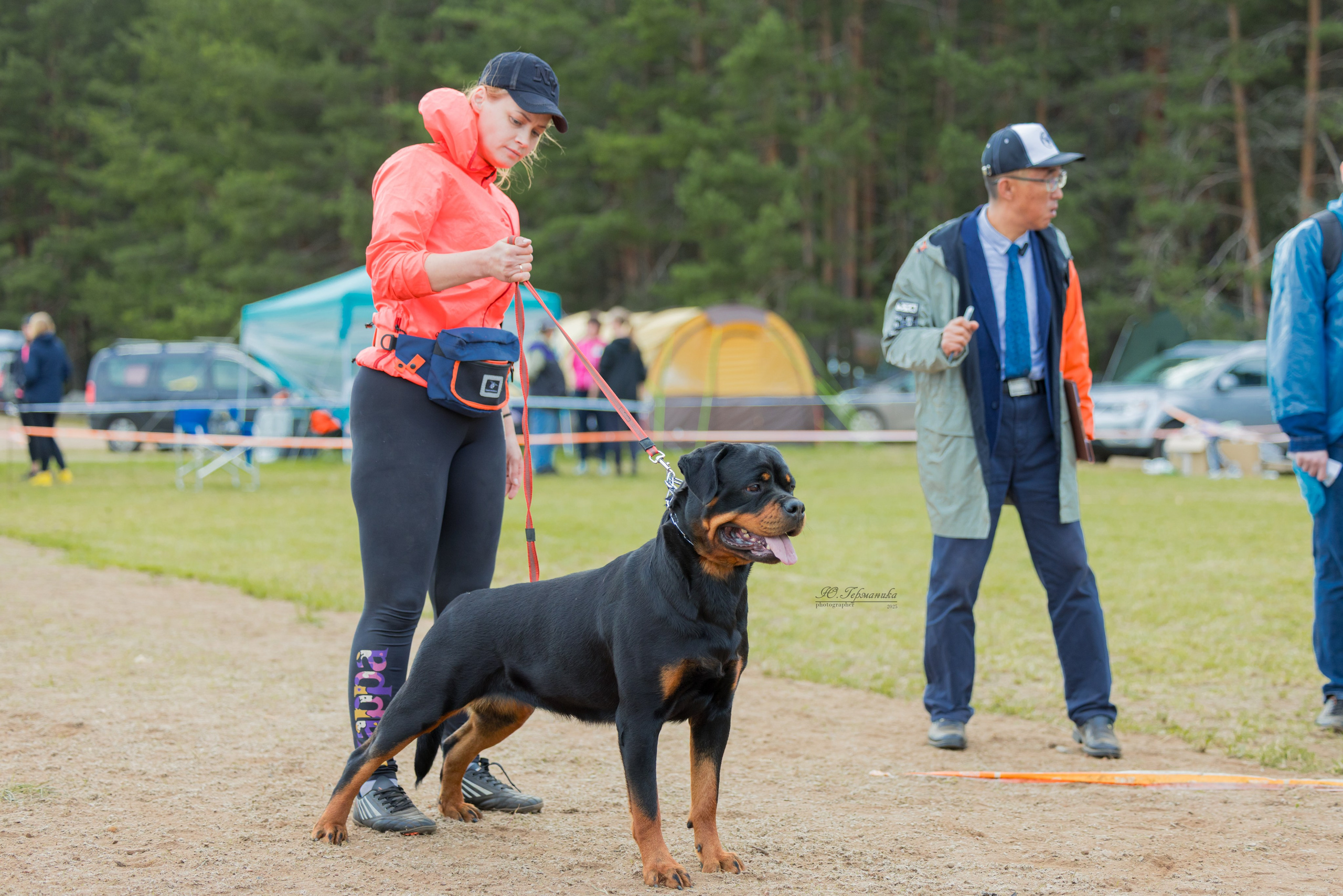 Тверь ротвейлеры 5-6.07.2025. Фотограф-анималист Юлия Германика