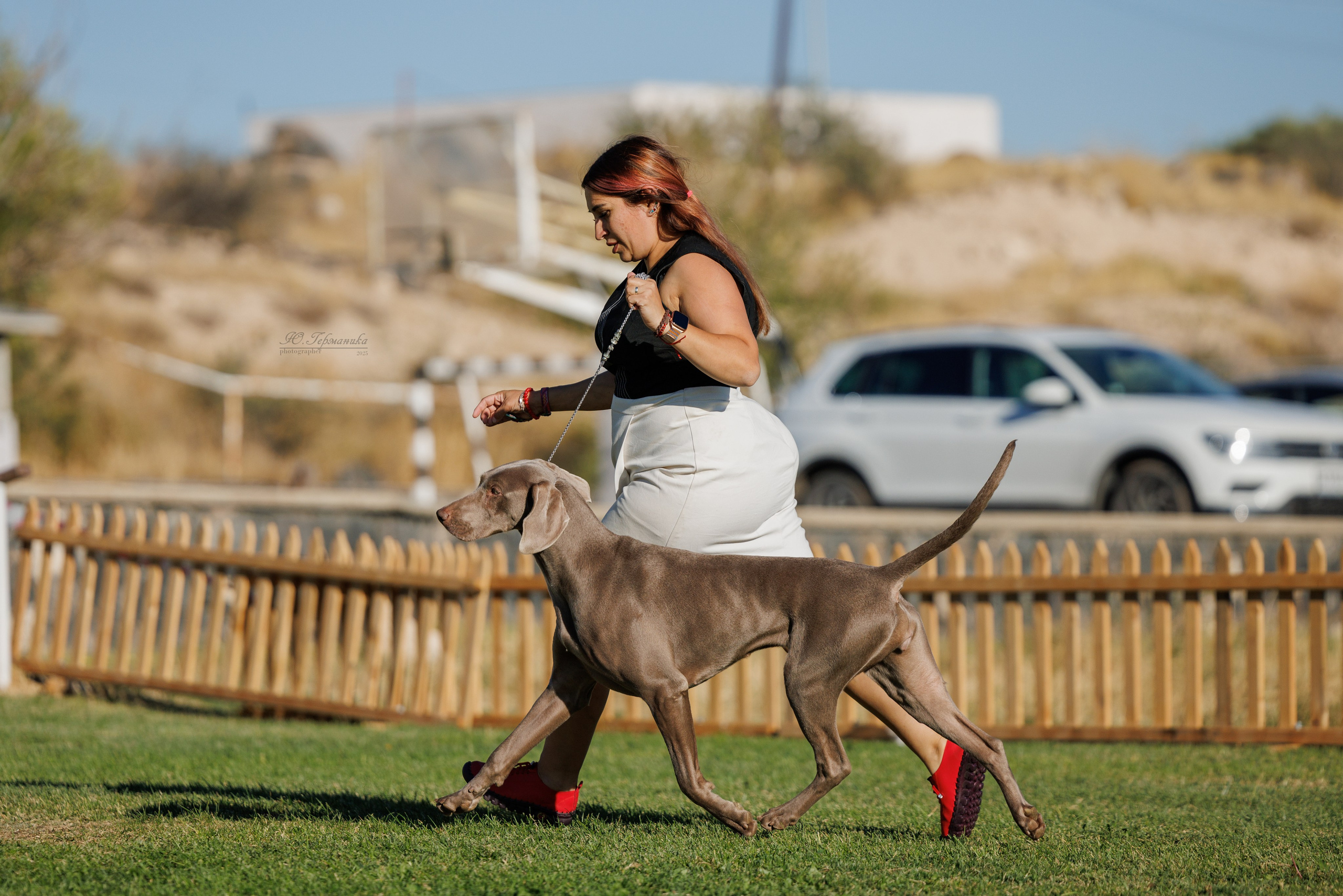 Ереван 14-16.10.2025. Фотограф-анималист Юлия Германика