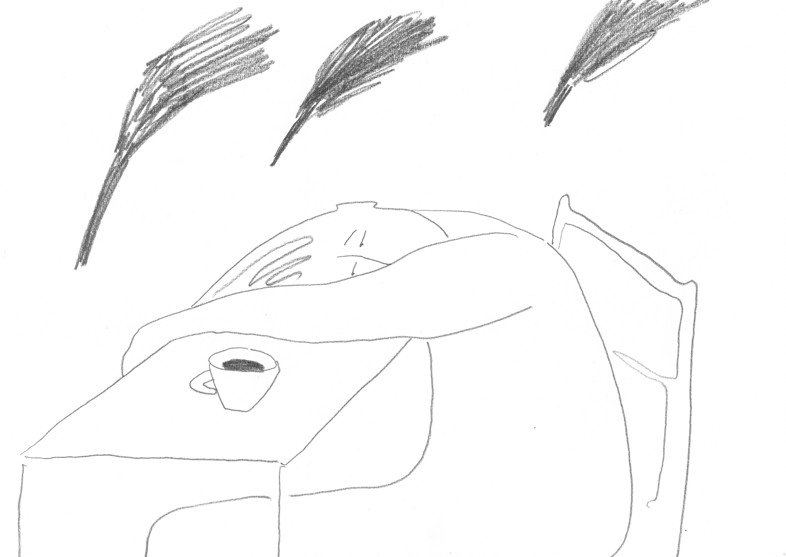 Pencil Drawings. Portfolio Birdcrush