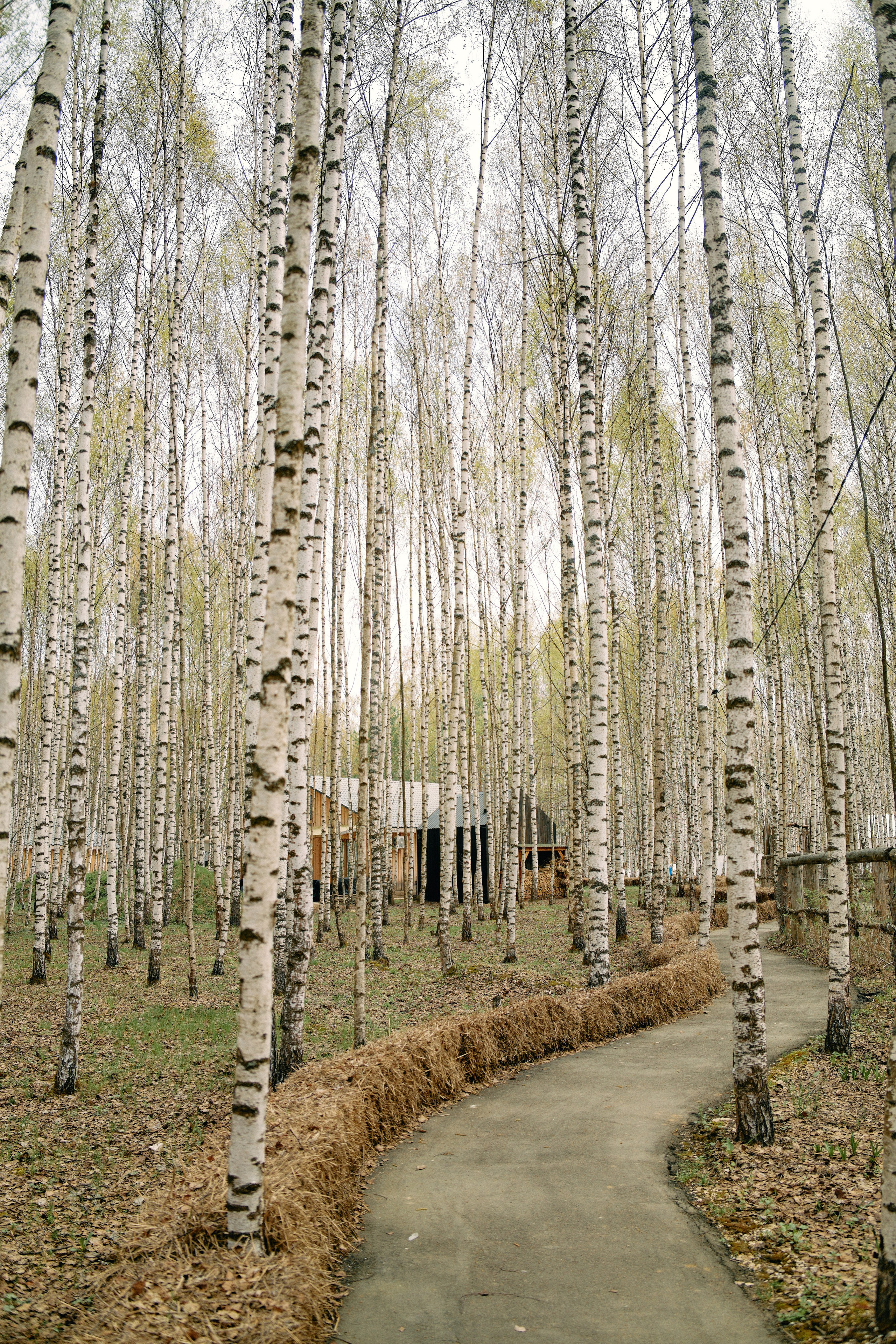 Бутик-отель Поле летом. Профессиональный Фотограф во Владимире, в Москве и в Суздале — Полина Романычева
