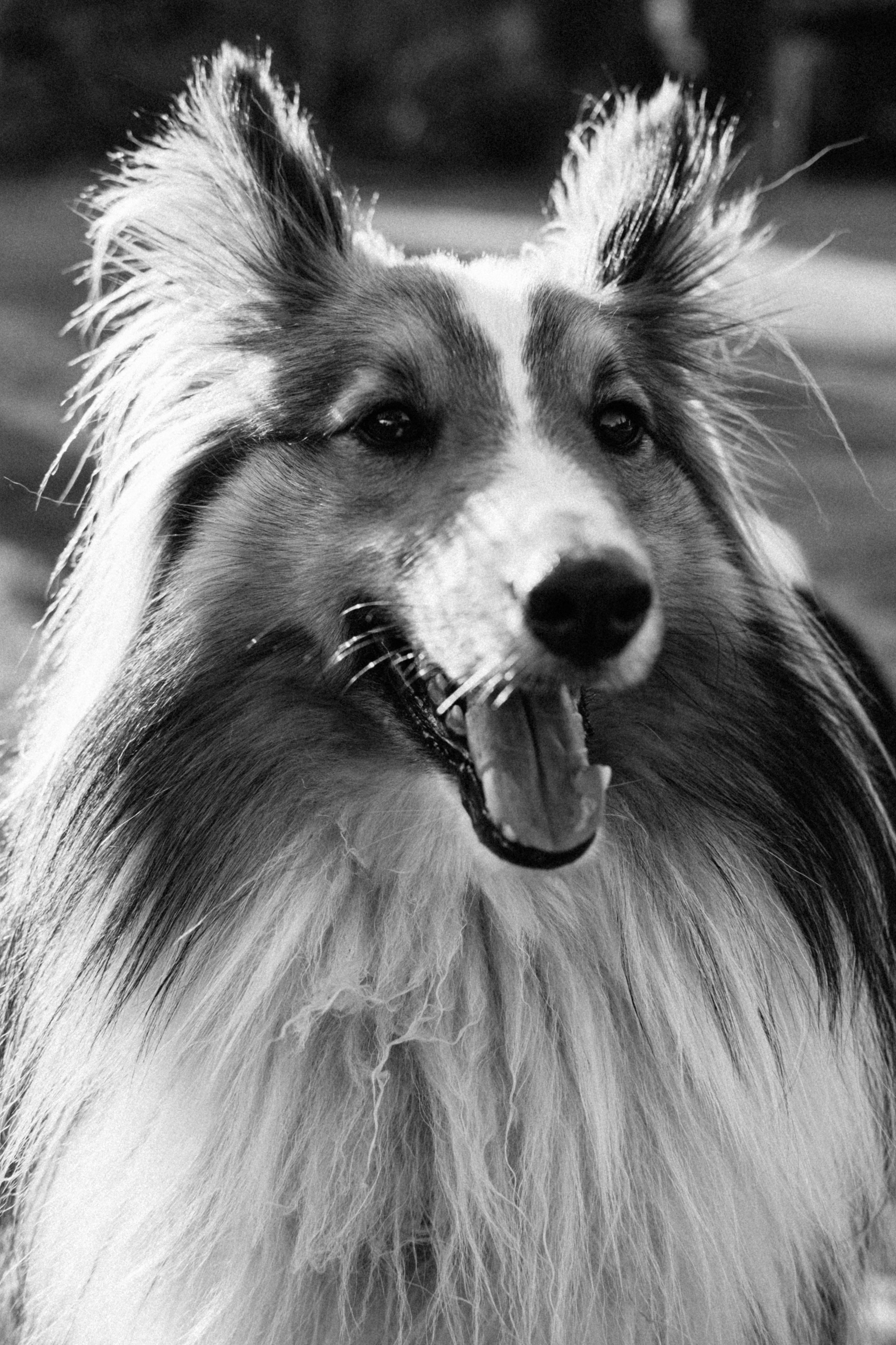 1. Свадебный фотограф Челябинск