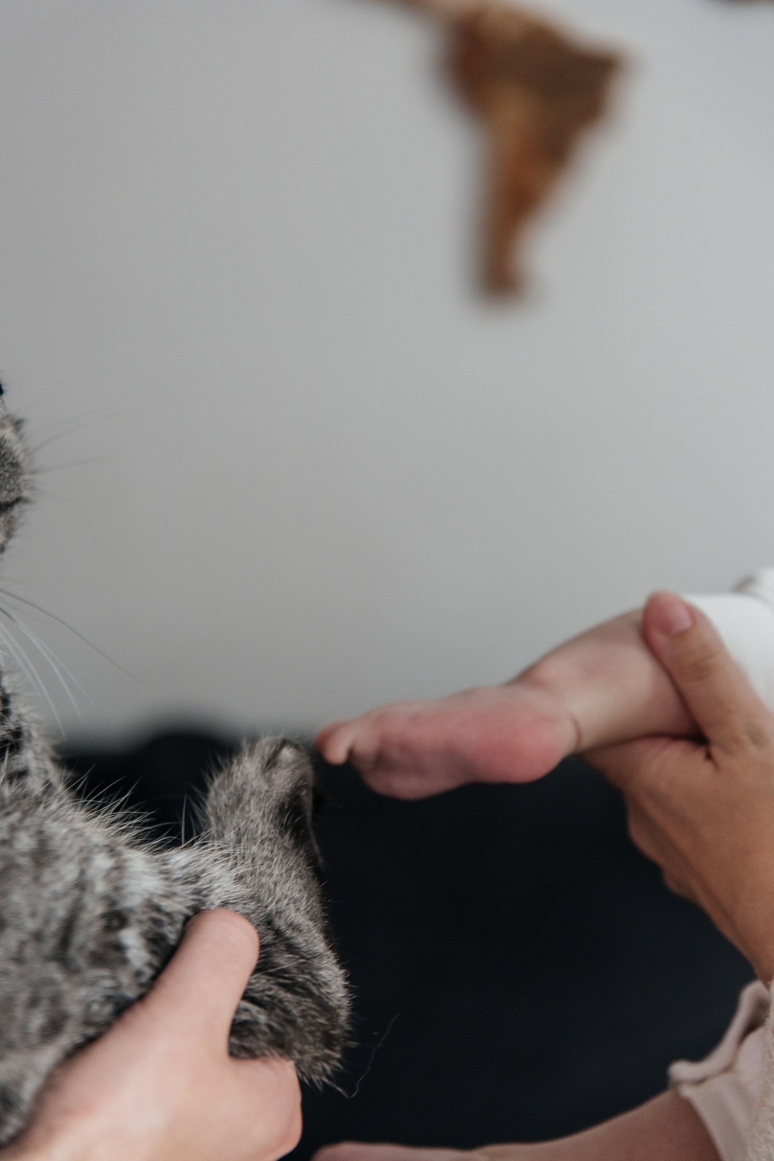 Ефановы. Юлия Холина — ваш фотограф в Москве