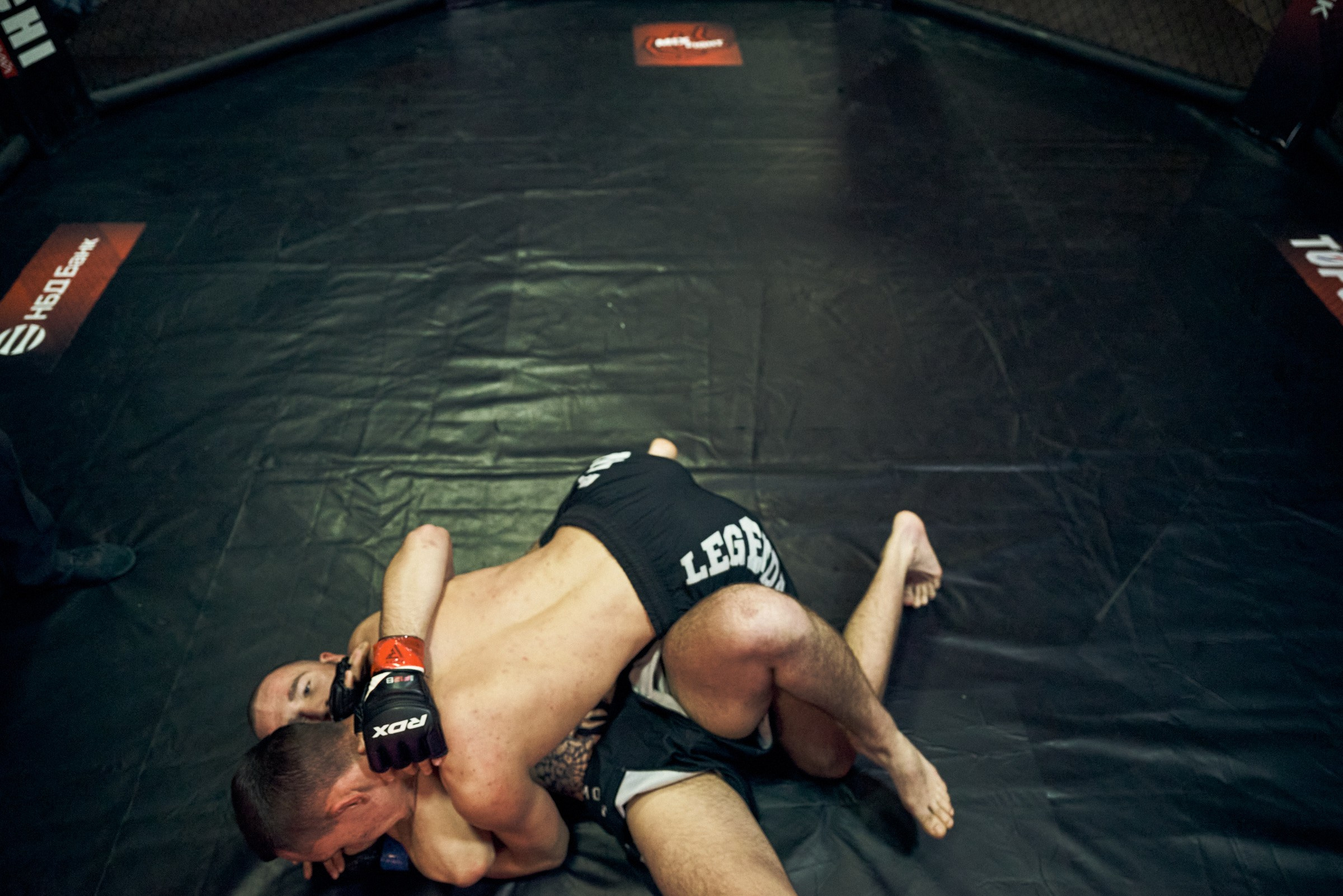 Бои. Маляревич Дмитрий свадебный фотограф