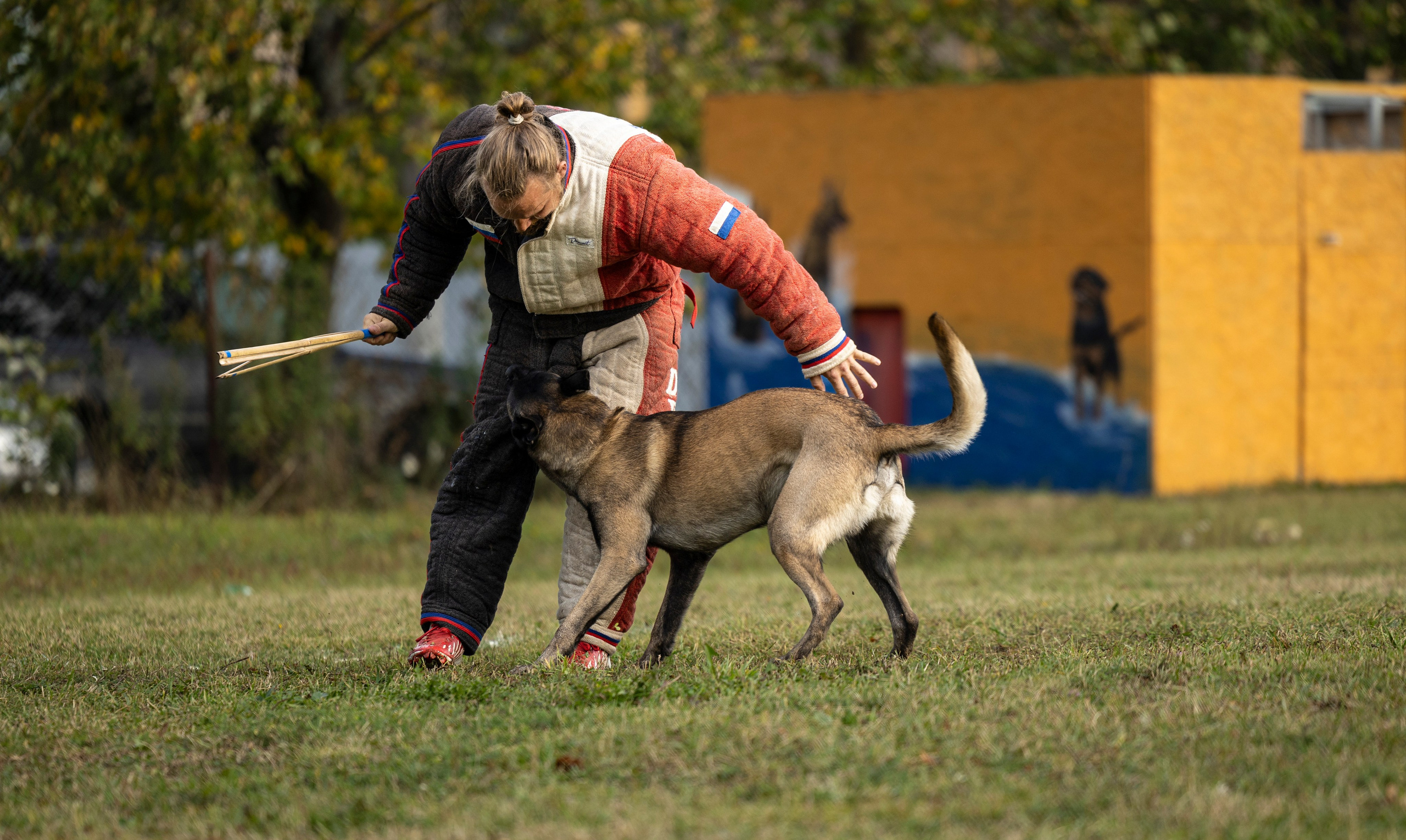 Испытания по Мондьорингу г. Пушкин. Фотограф-анималист Анна Маринич