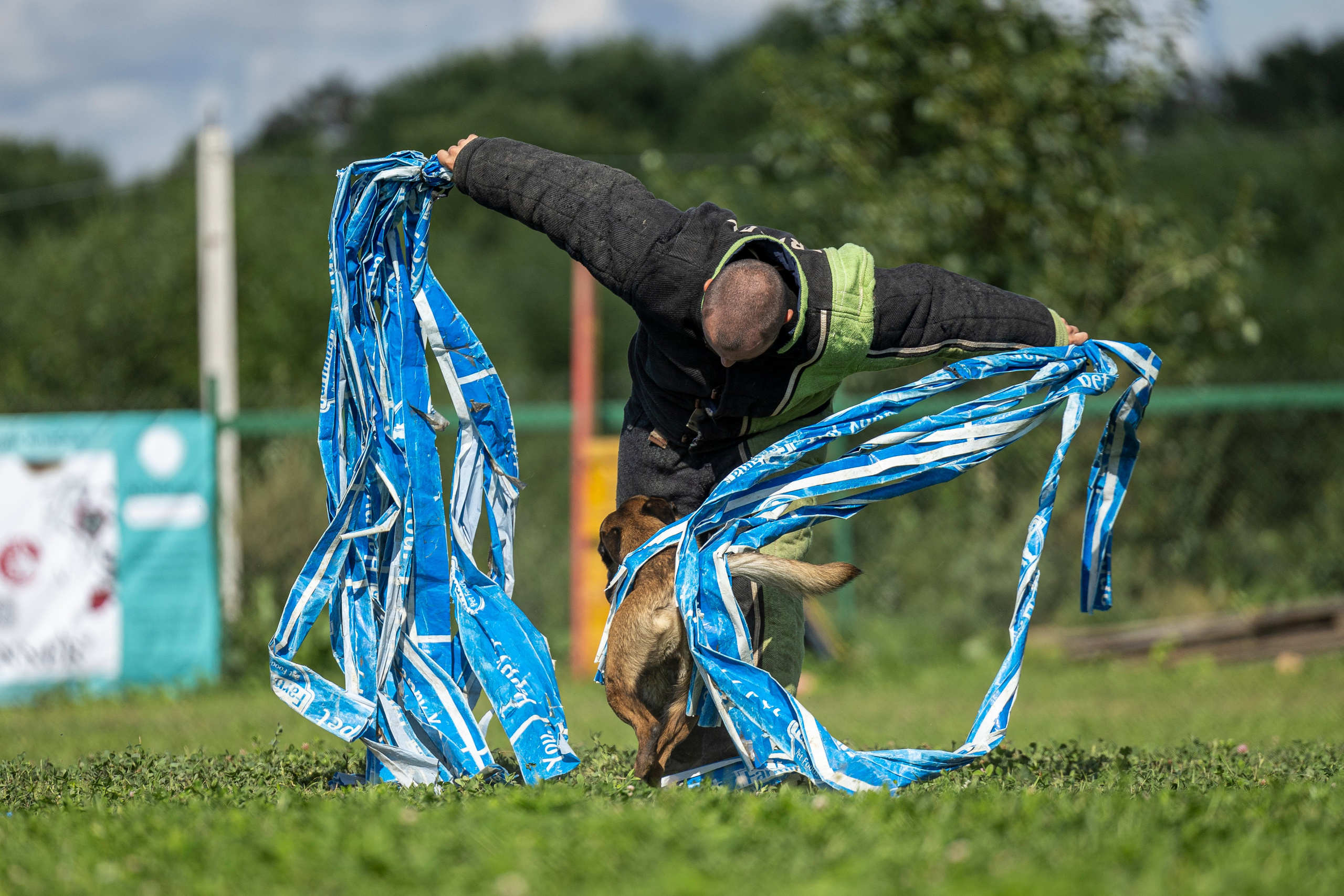 Соревнования по Мондьорингу г. Вологда 10-11.08.2024. Фотограф-анималист Анна Маринич