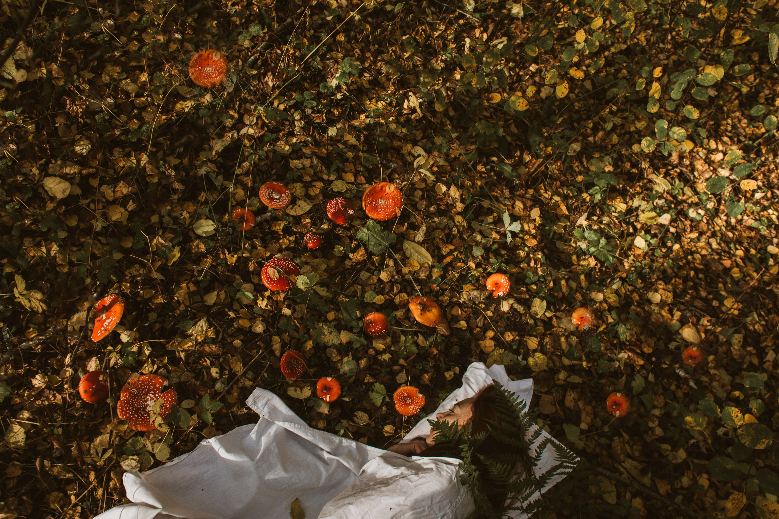 Алина. Мухоморы. Фотограф в Нижнем Новгороде