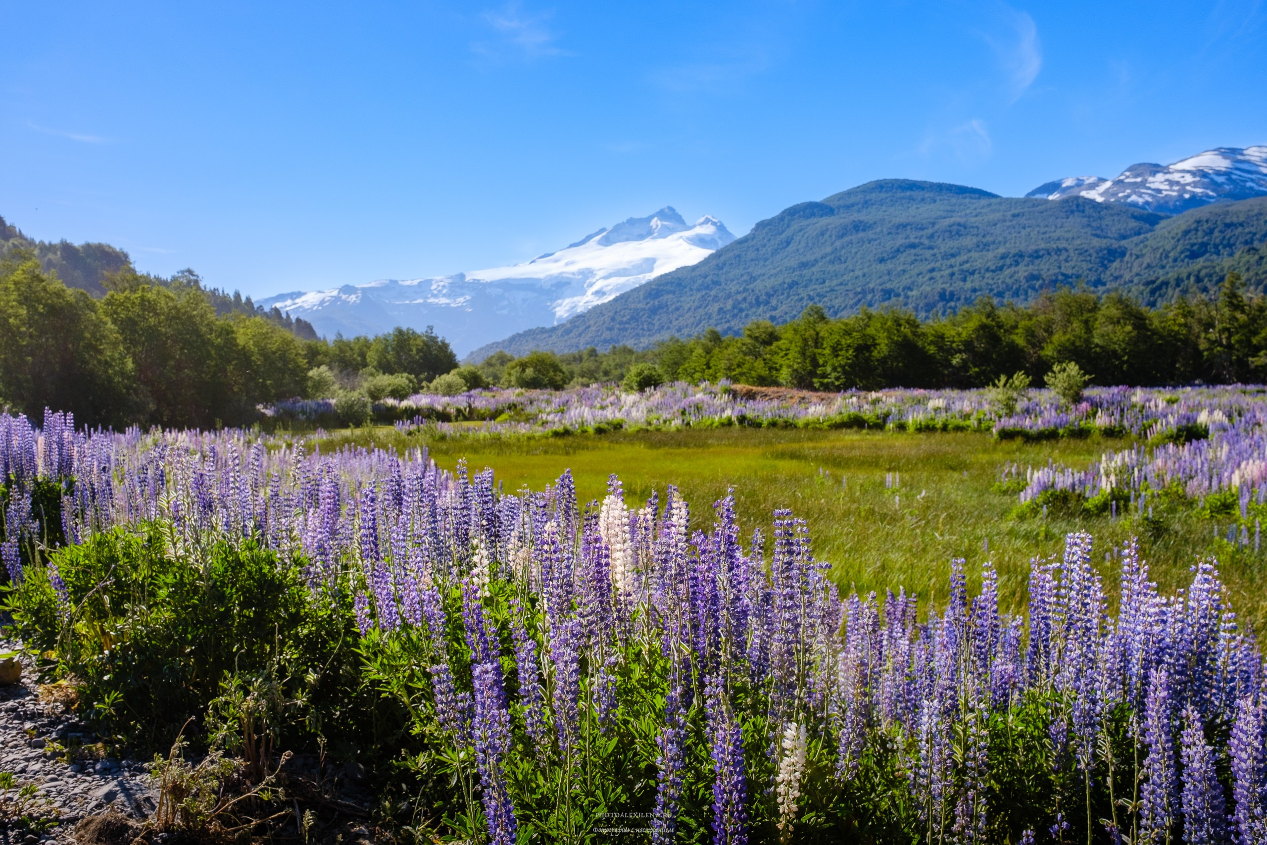 Озёрный край Барилоче. Авторские стильные фотокартины