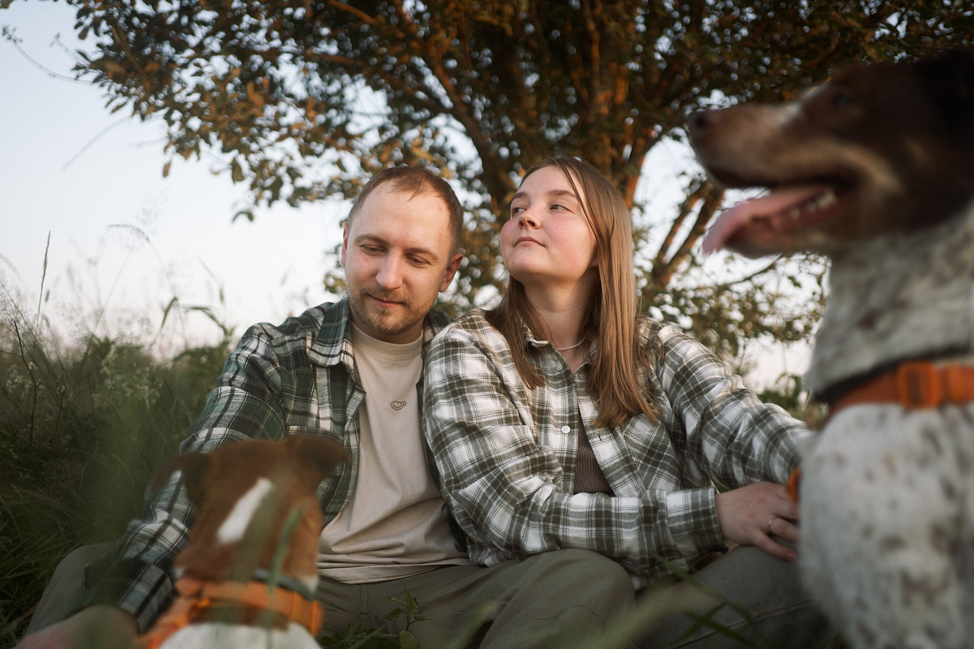 На рассвете. Фотограф анималист Москва Дарья