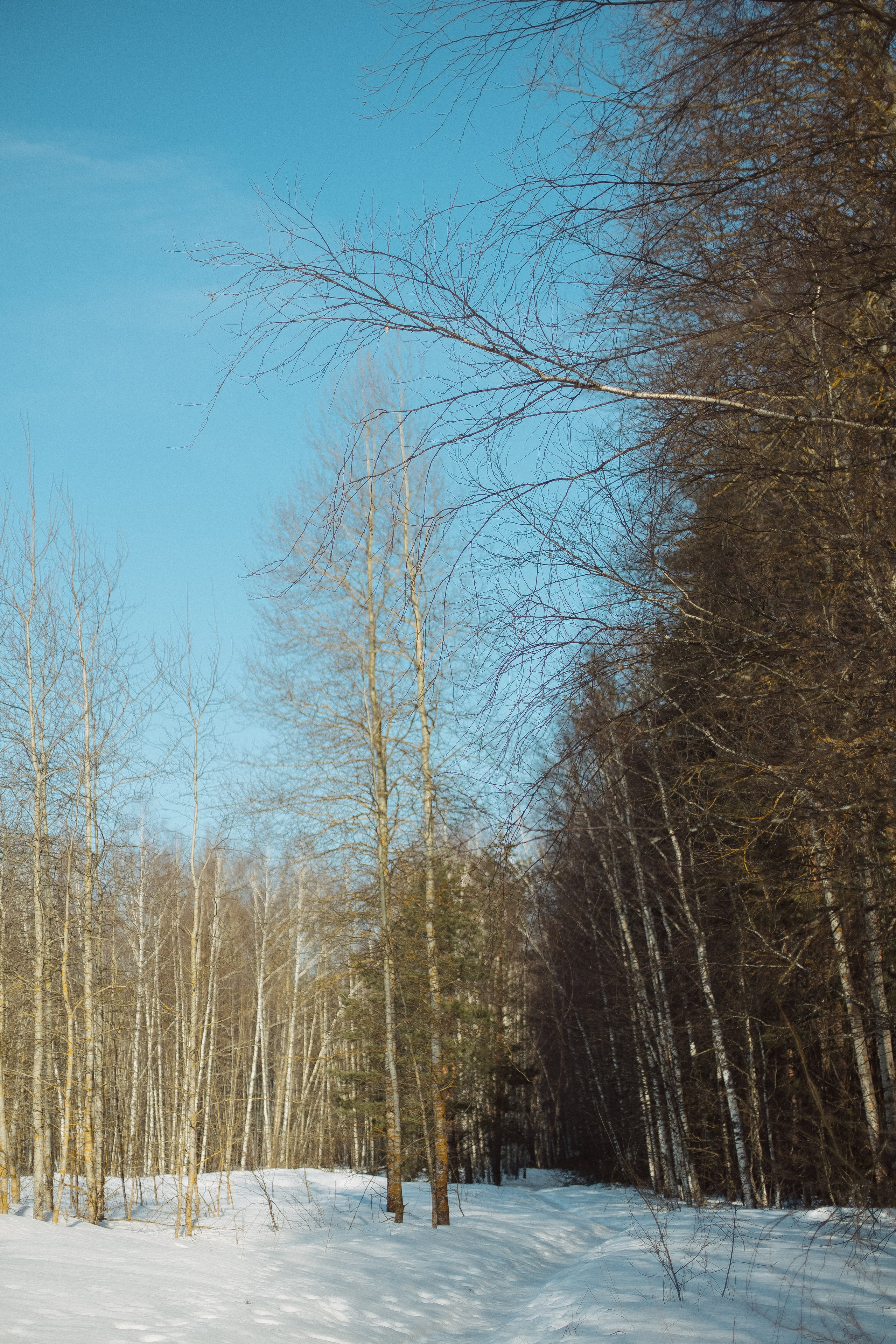 Экопарк ПОЛЯНЫ. Главная