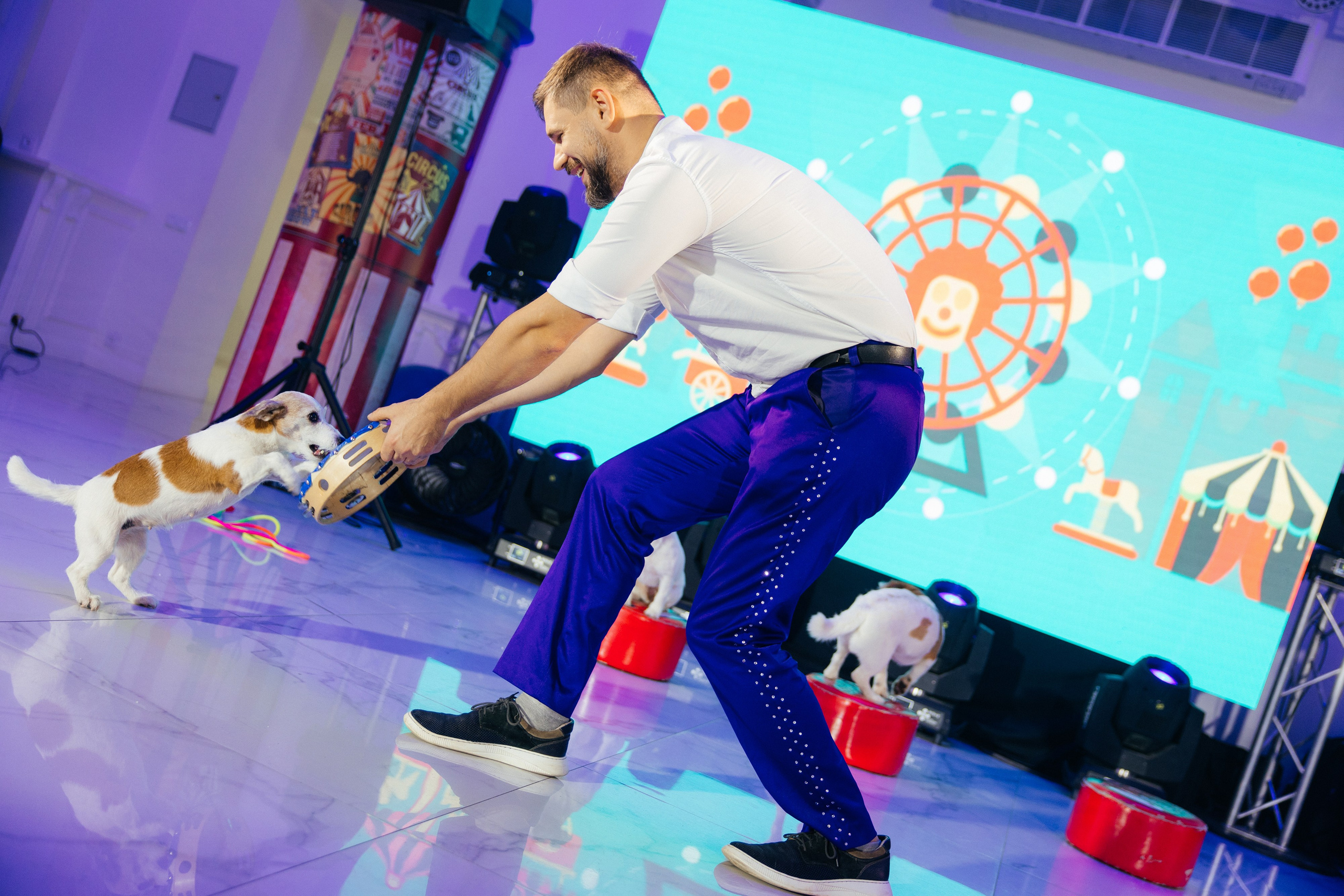 Корпоратив Цирк. Свадебный фотограф Минск РБ